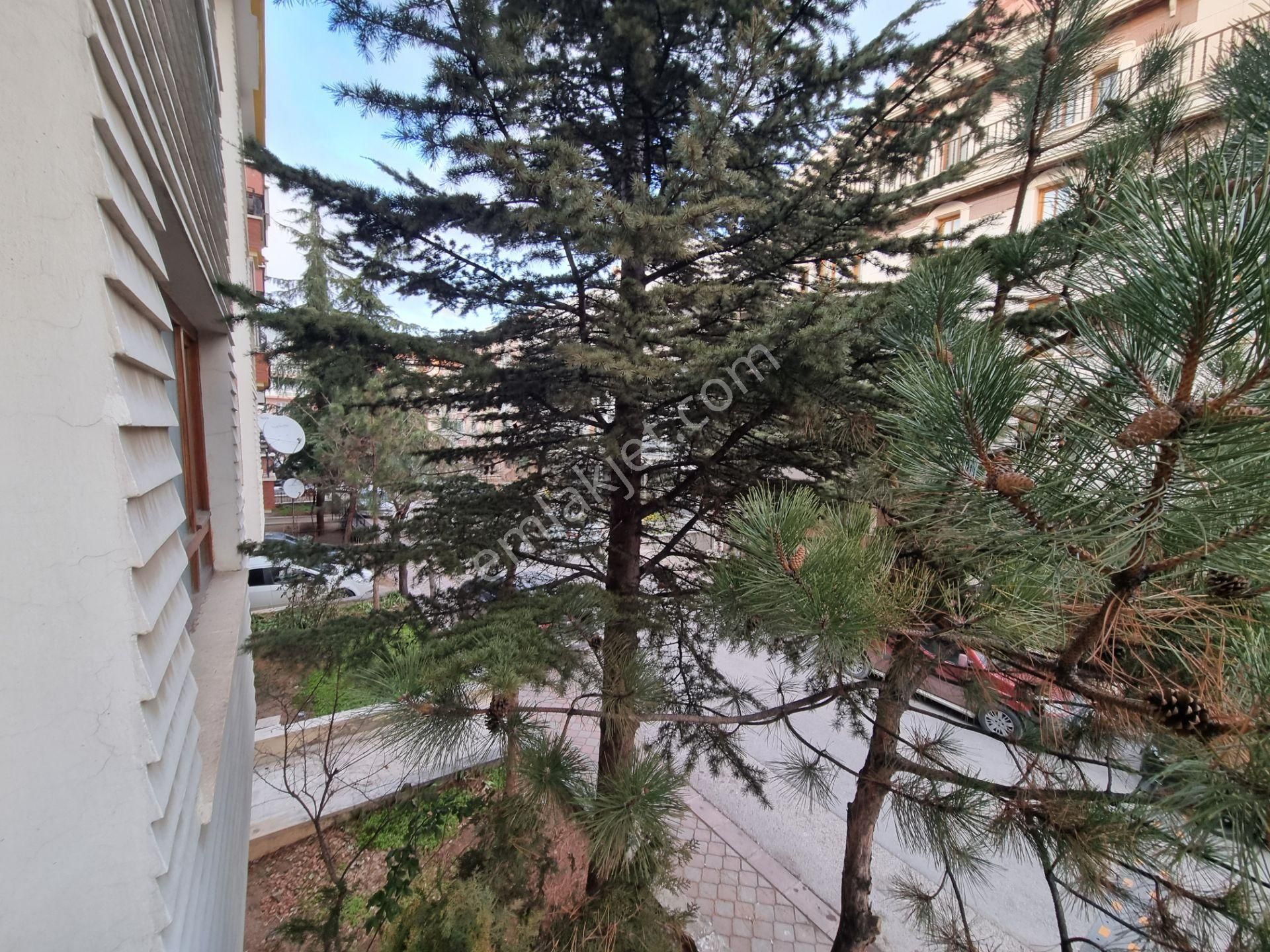 Kardeşler'de 2+1 Ara Katta Güney Cephe Kombili Full Yapılı 2balkonlu - Görsel 9