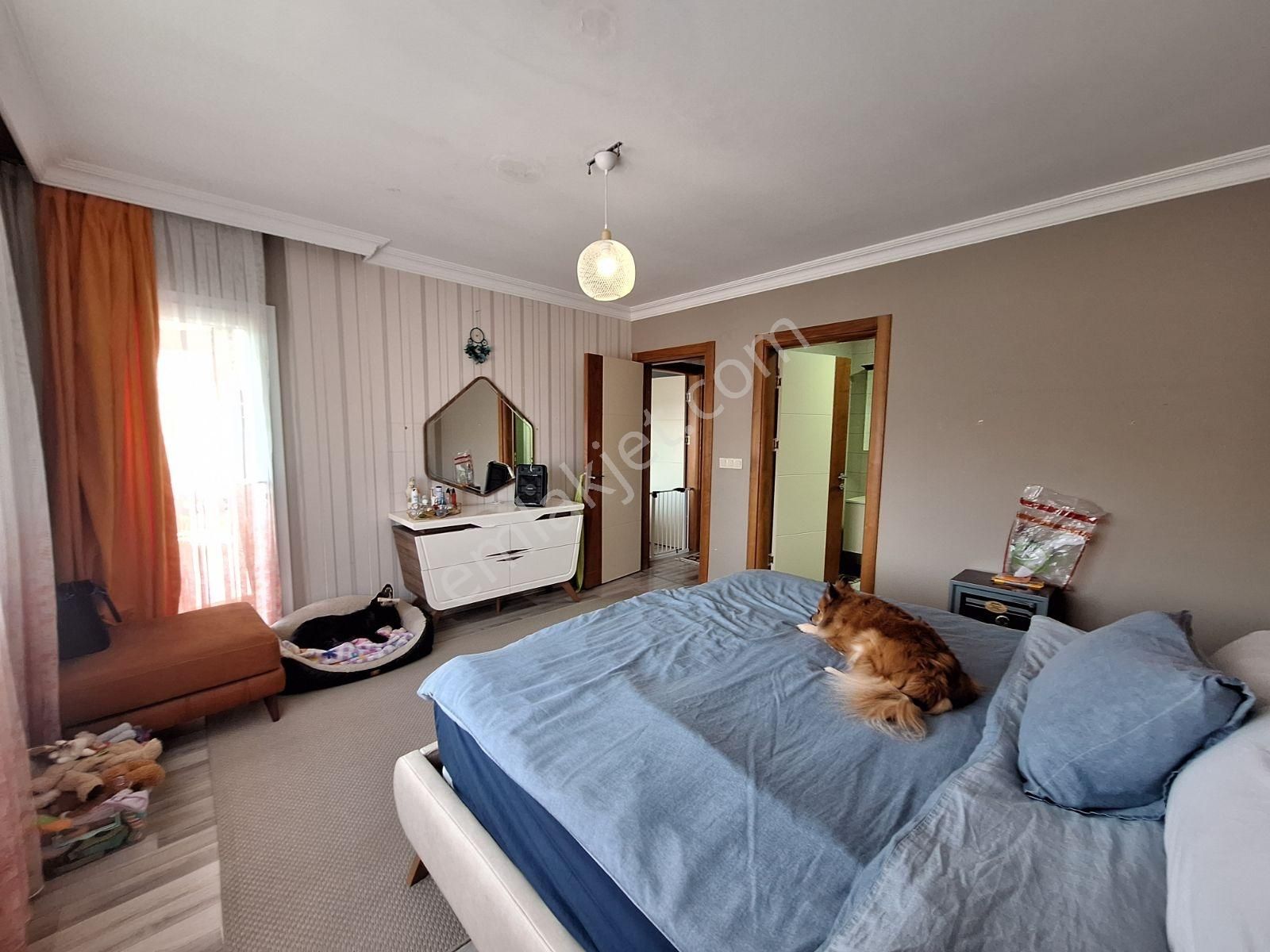 İndirim.ikiçeşmelikde Büyük Çatı Dublex - Görsel 23