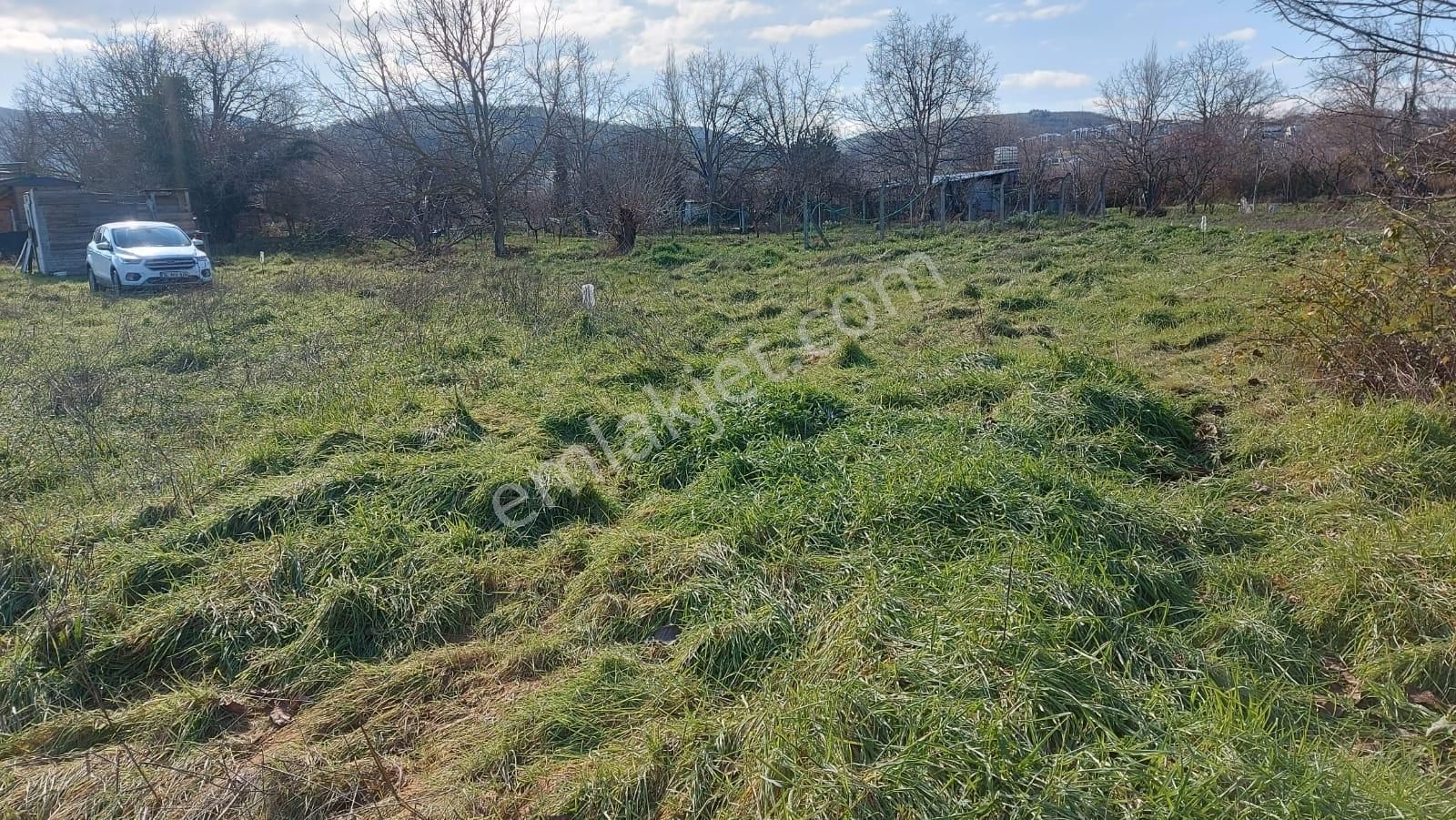 Halil Kahraman Dan Kayapa Da 235 M2 Hobi Bahçesi - Görsel 21