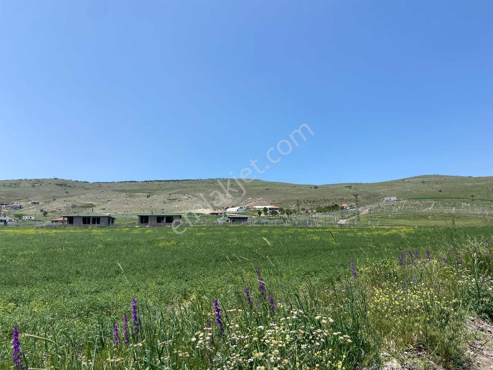 Bala Beynam Da 400 M2 Hobi Bahçesi Su+elektrik+tel Hisse Tapulu - Görsel 3