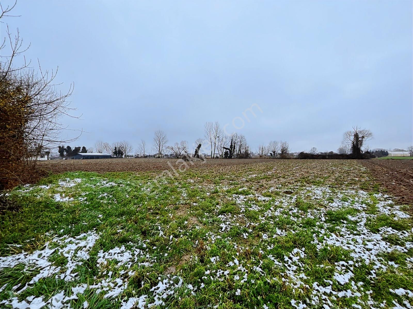 Adapazarı Kurtbeyler'de 1730m2 Kaçırılmayacak Fırsat - Görsel 7