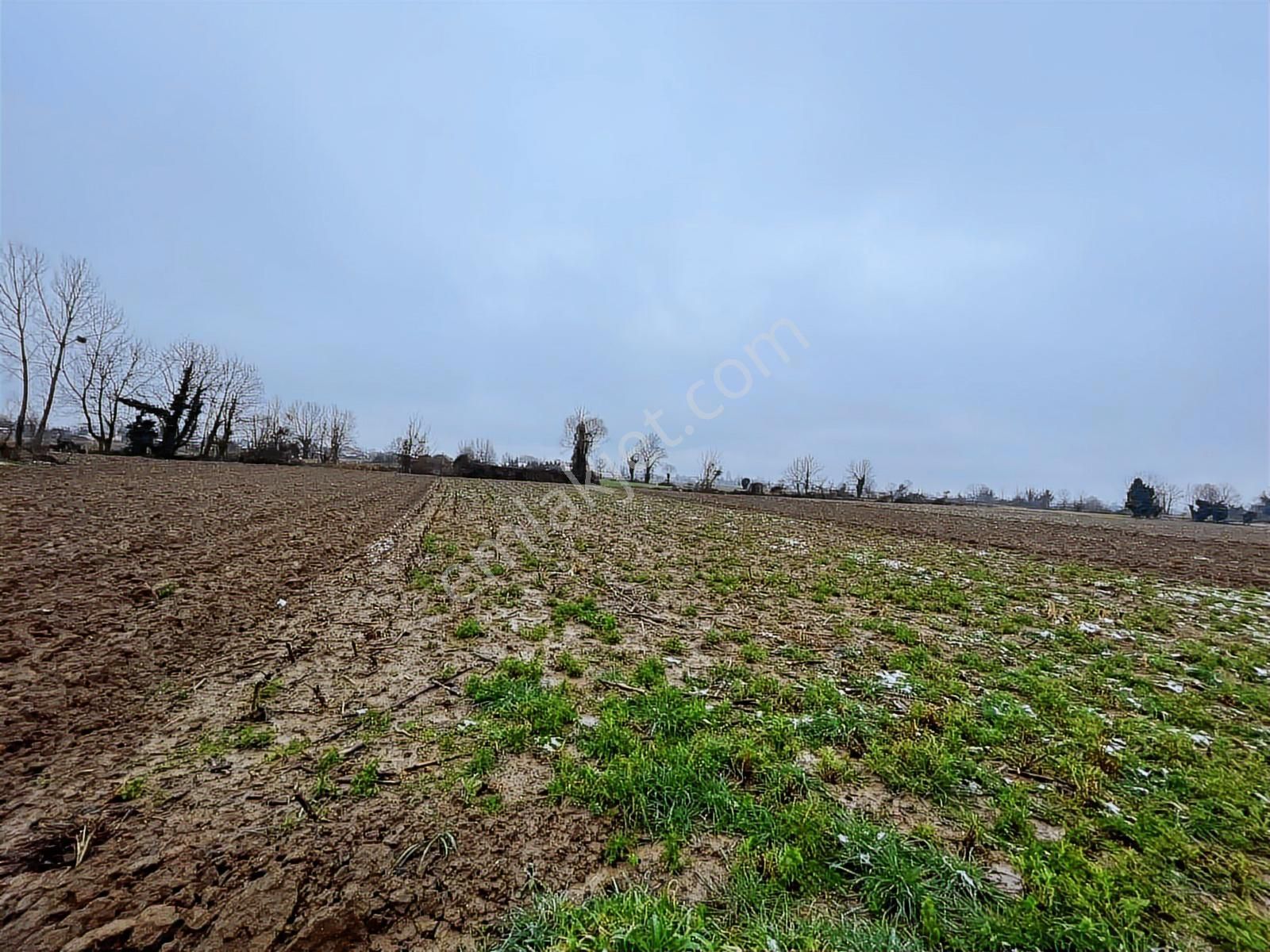 Adapazarı Kurtbeyler'de 1730m2 Kaçırılmayacak Fırsat - Görsel 5