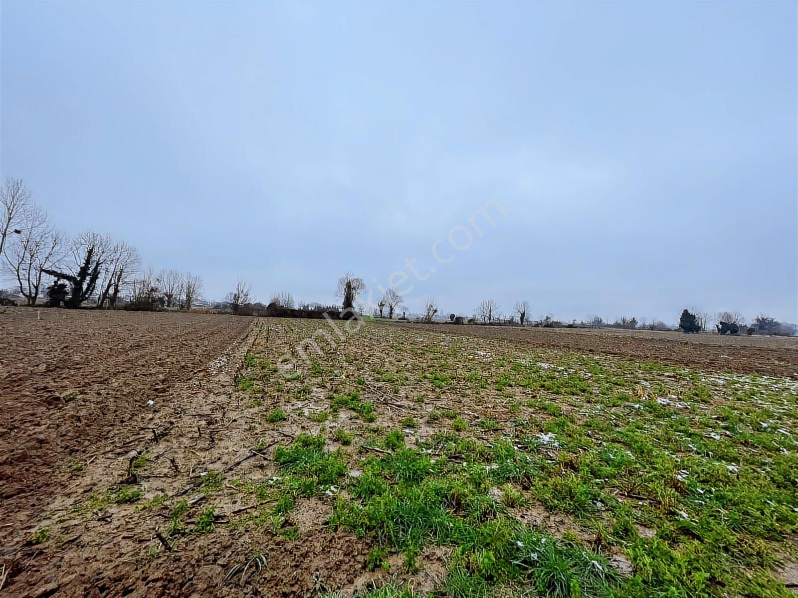 Adapazarı Kurtbeyler'de 1730m2 Kaçırılmayacak Fırsat - Görsel 12