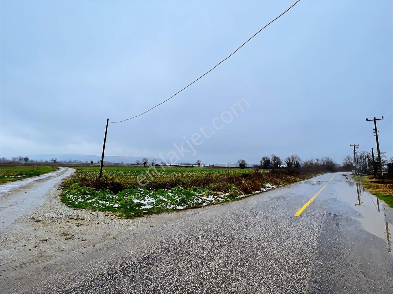 Adapazarı Kurtbeyler'de 1730m2 Kaçırılmayacak Fırsat - Görsel 2