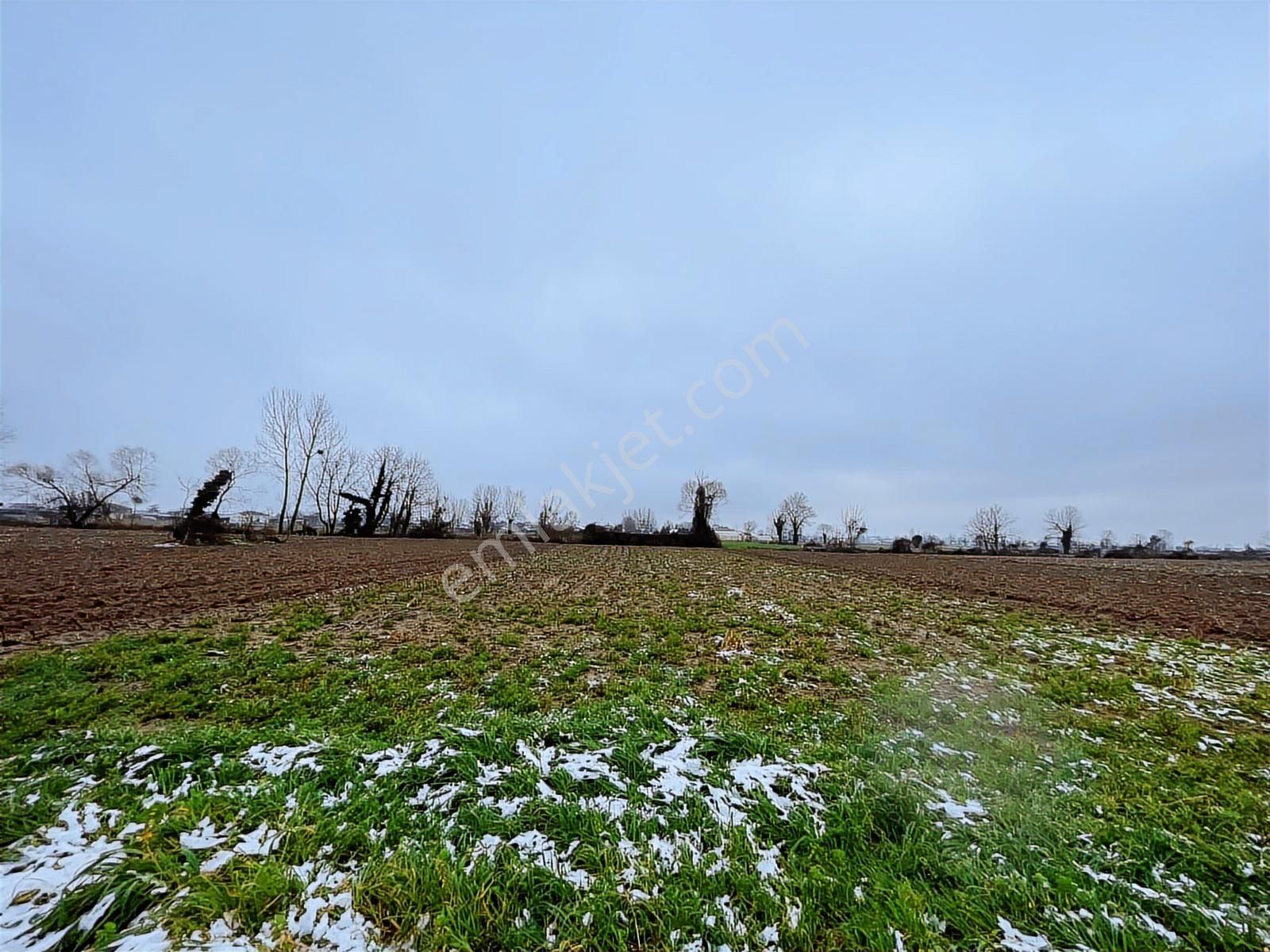 Adapazarı Kurtbeyler'de 1730m2 Kaçırılmayacak Fırsat - Görsel 6