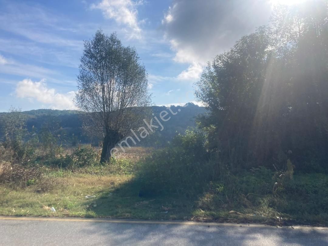 Hendek Akarca'da 3336m2 Satılık Tarla - Görsel 4