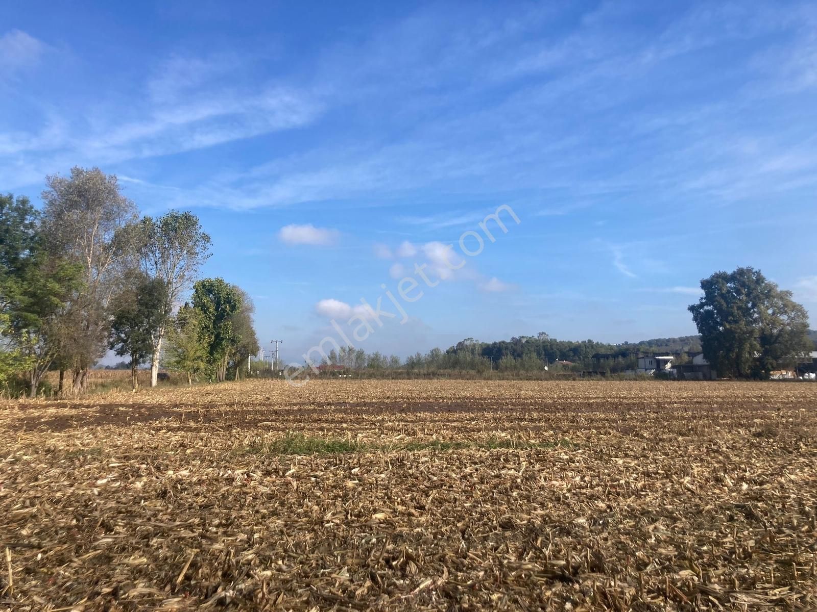 Hendek Akarca'da 3336m2 Satılık Tarla - Görsel 13