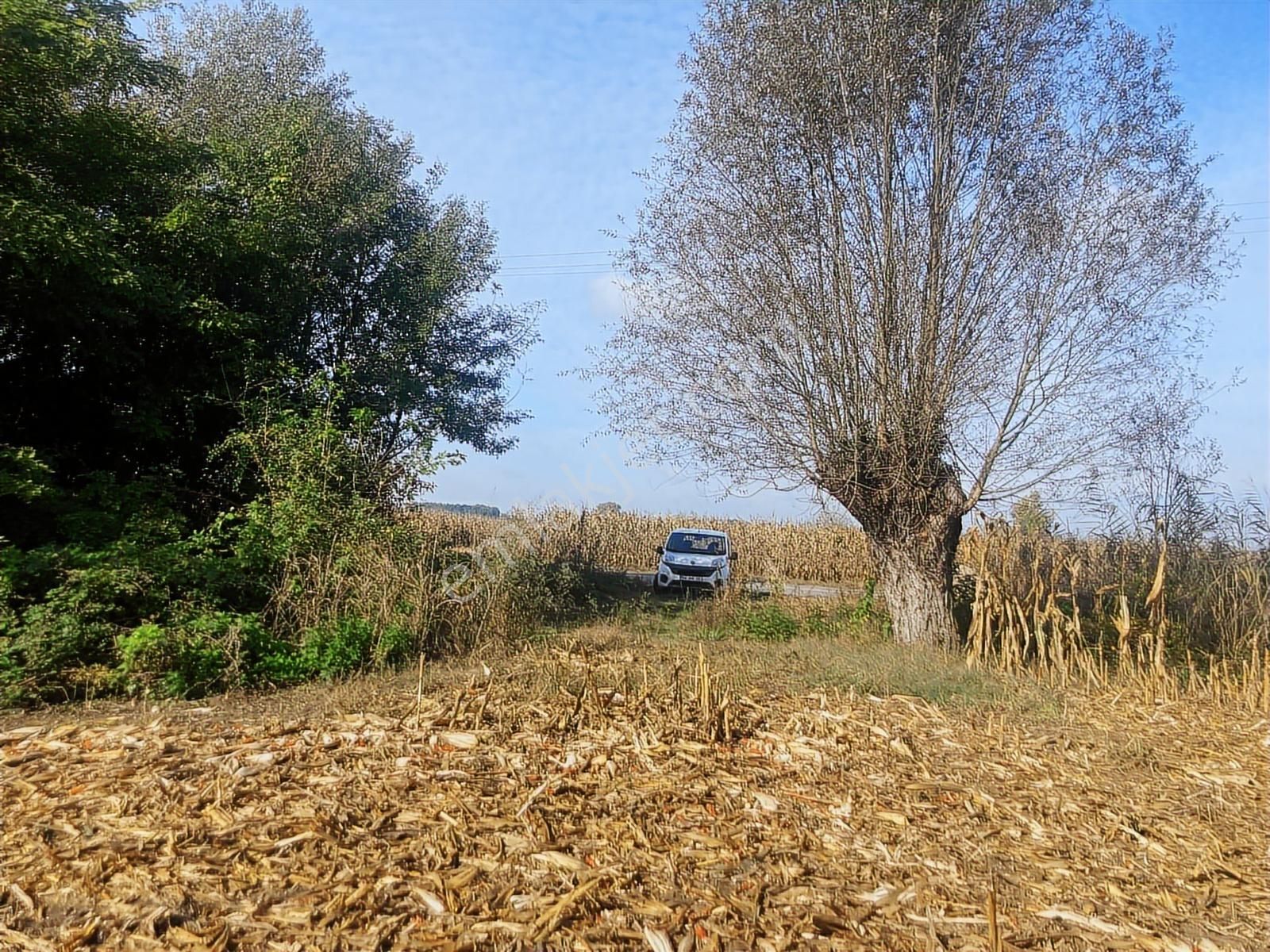 Hendek Akarca'da 3336m2 Satılık Tarla - Görsel 7