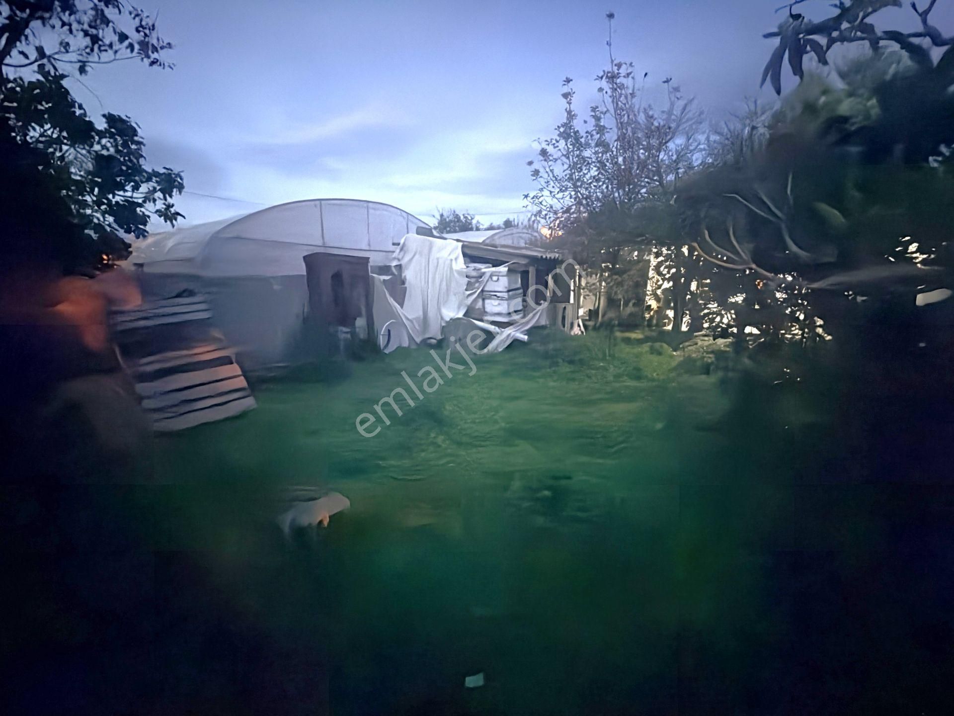 ▀yetki Jet'ten▀bostancı'da Geniş Bahçeli Ayrı Mutfak 1+1 Köy Evi - Görsel 2