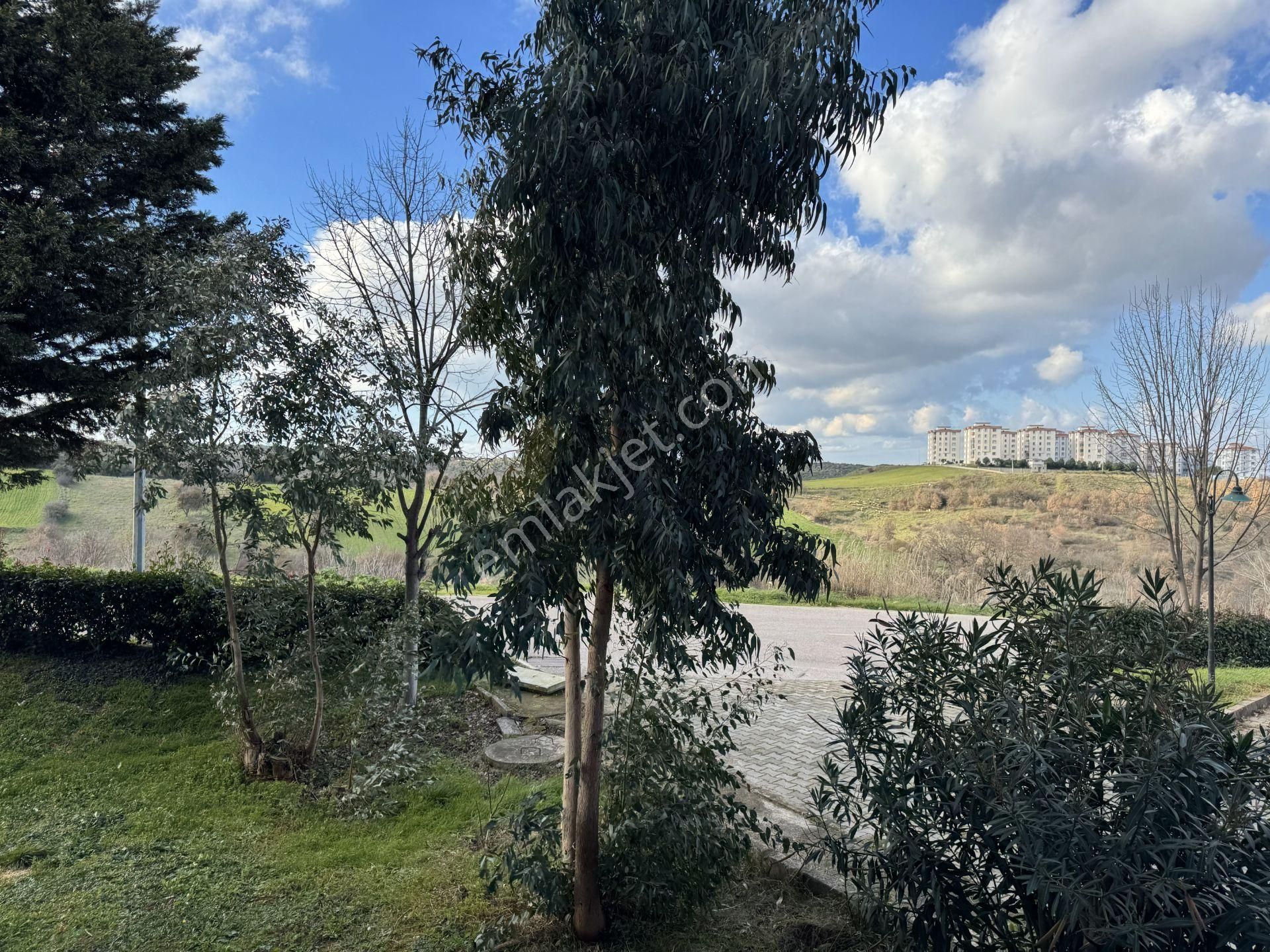 Hamdıbey Mahallesı Toki’de | Önü Kapanmaz Doğa Manzaralı | Yüksek Gırış Aıleye Uygun 3+1 Daıre - Görsel 21