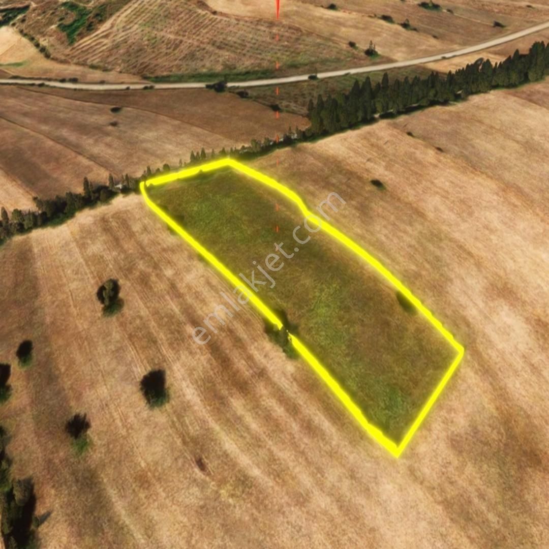 Havza Sofular'da Yatırımlık Yola Cephe Satılık Tarla