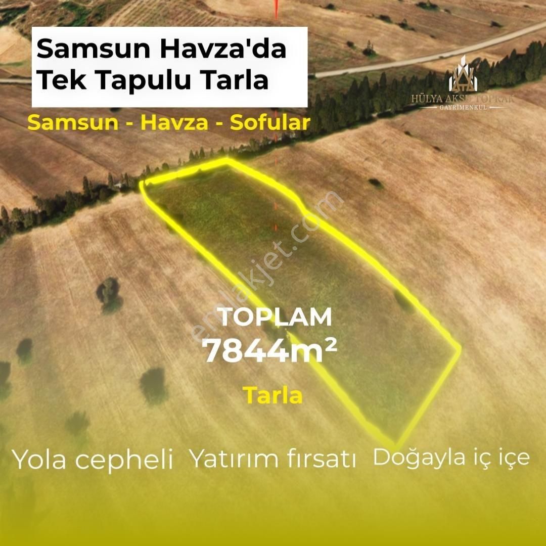 Havza Sofular'da Yatırımlık Yola Cephe Satılık Tarla - Görsel 2