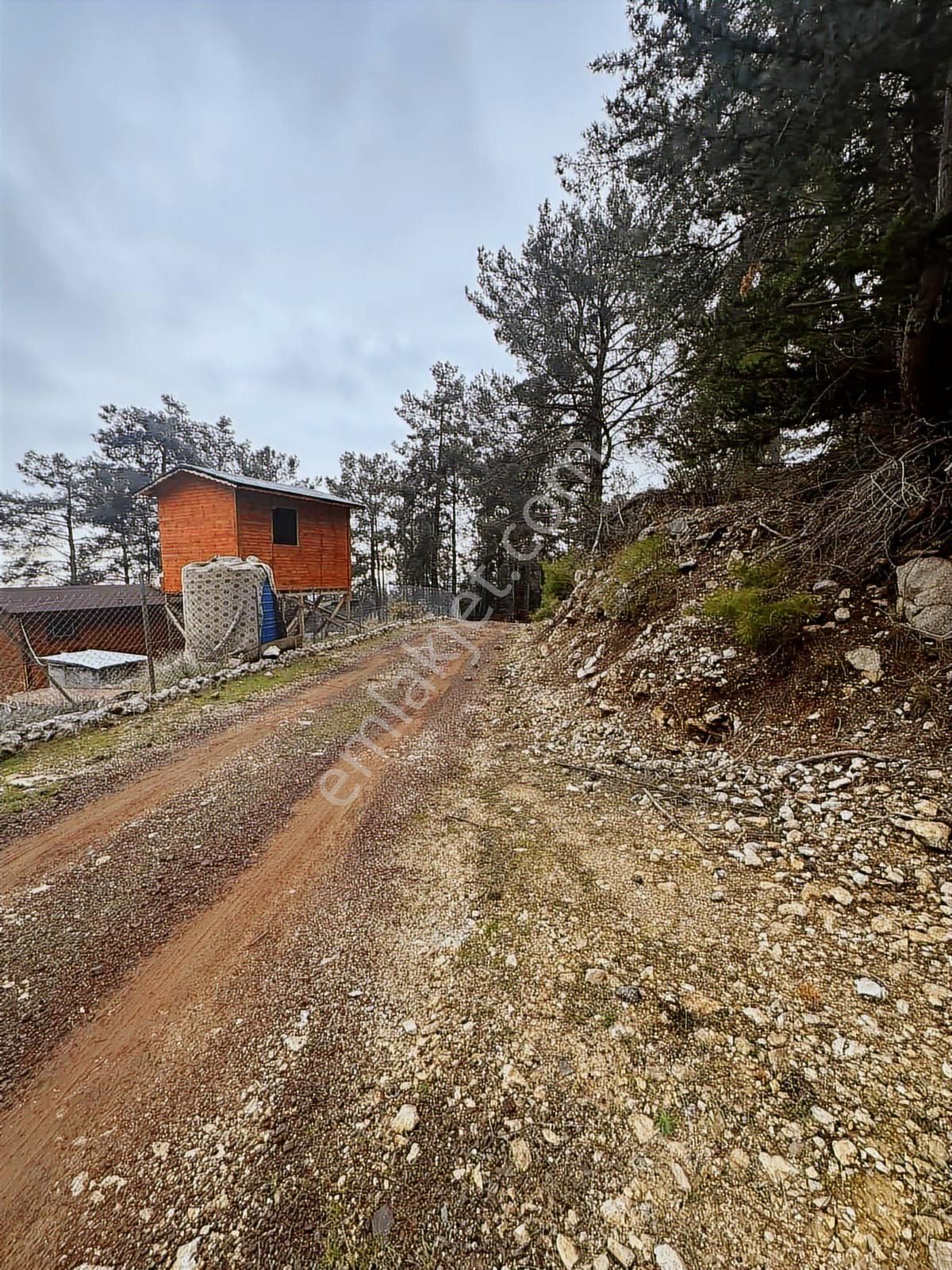Eksper Den Kemer Beycik'te Tek Tapu Deniz Manzaralı 356 M2 !!!!! - Görsel 5