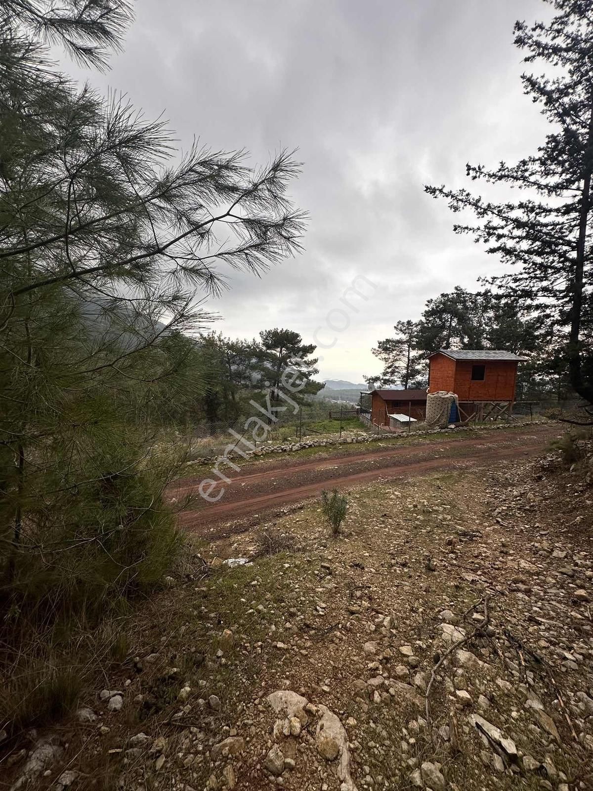 Eksper Den Kemer Beycik'te Tek Tapu Deniz Manzaralı 356 M2 !!!!! - Görsel 8