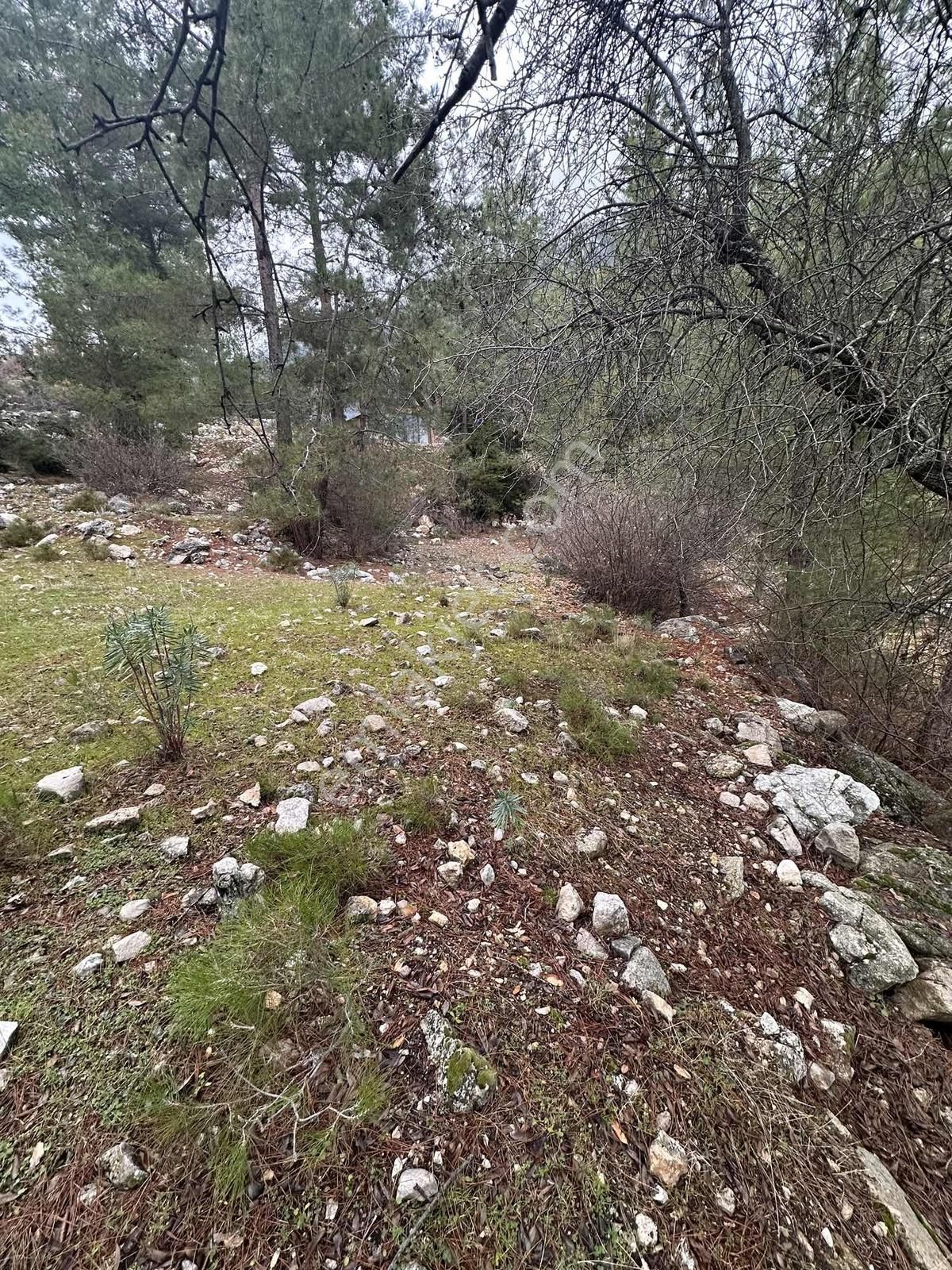 Eksper Den Kemer Beycik'te Tek Tapu Deniz Manzaralı 356 M2 !!!!! - Görsel 2