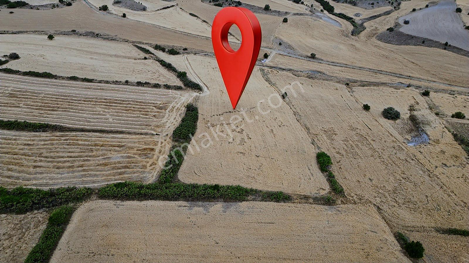 Oğuzlar'dan_ortabereket_dere Kenarı_tek Tapu_yolu Olan 15.386 M2 - Görsel 12