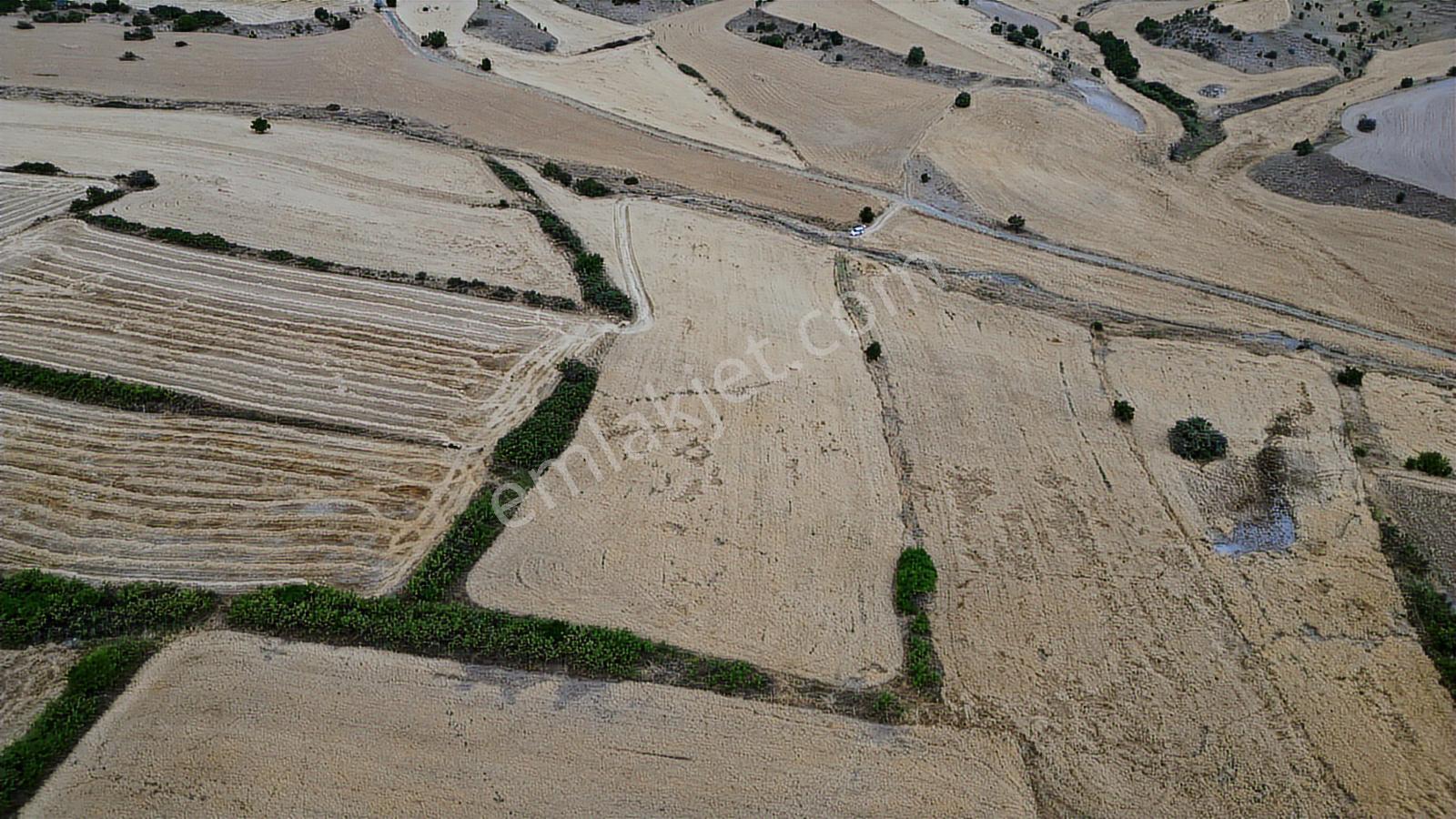 Oğuzlar'dan_ortabereket_dere Kenarı_tek Tapu_yolu Olan 15.386 M2 - Görsel 23