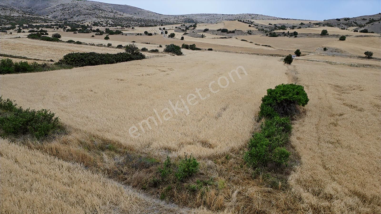 Oğuzlar'dan_ortabereket_dere Kenarı_tek Tapu_yolu Olan 15.386 M2 - Görsel 20