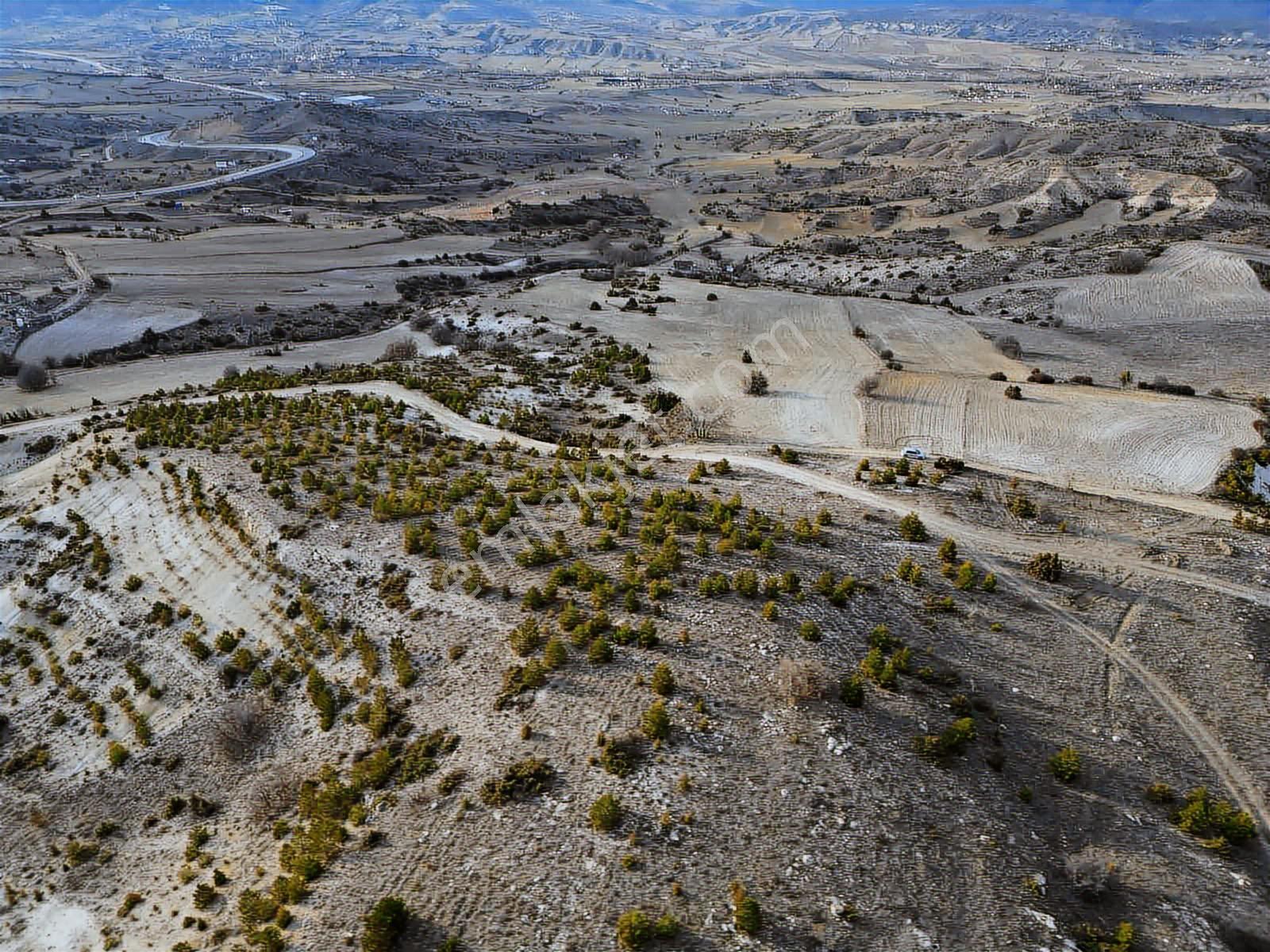 40 Adet Yetişmiş Çam Ağaçları İçerisinde Tek Tapu 3586 M2 Acill - Görsel 27