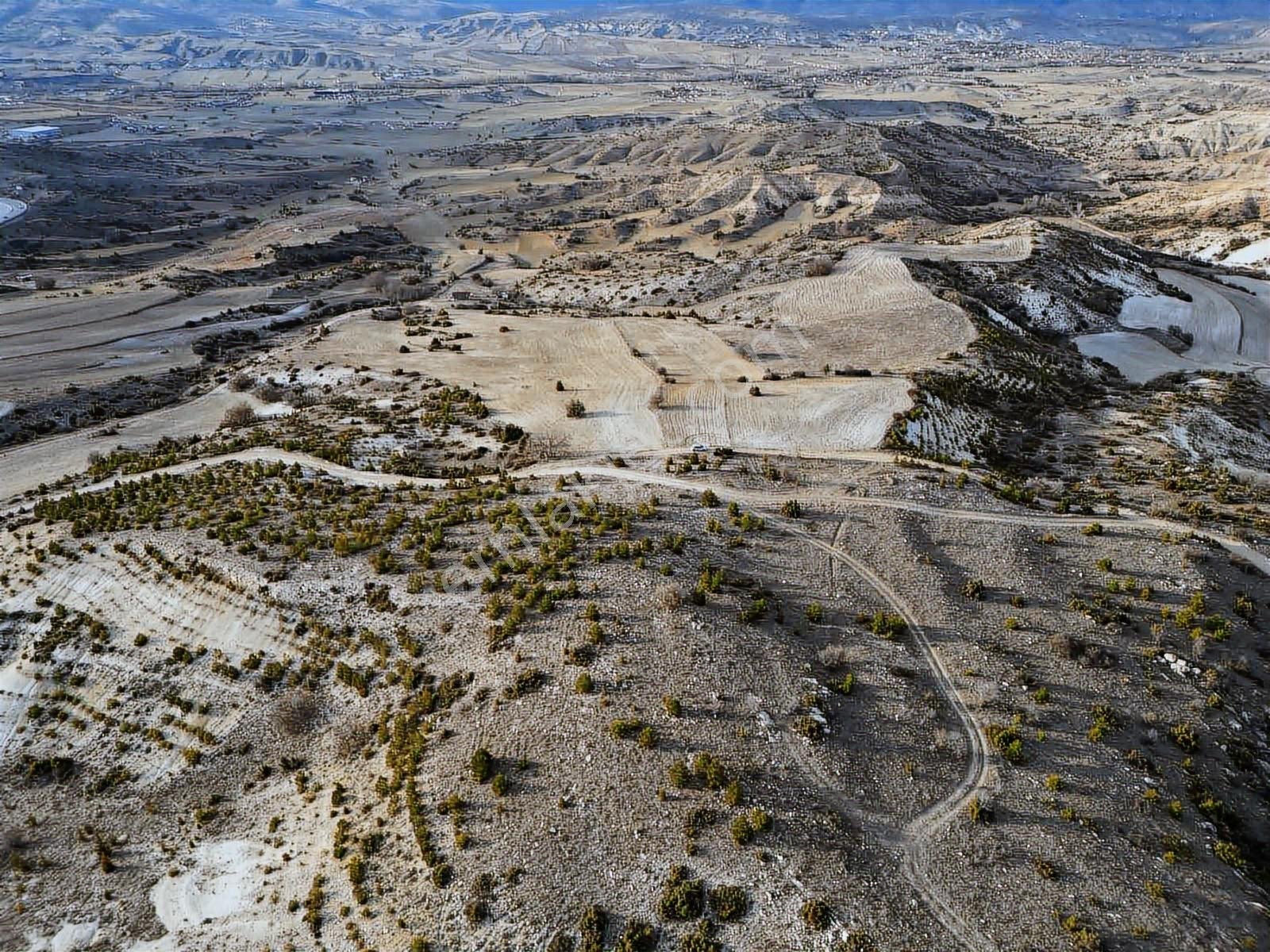 40 Adet Yetişmiş Çam Ağaçları İçerisinde Tek Tapu 3586 M2 Acill - Görsel 13