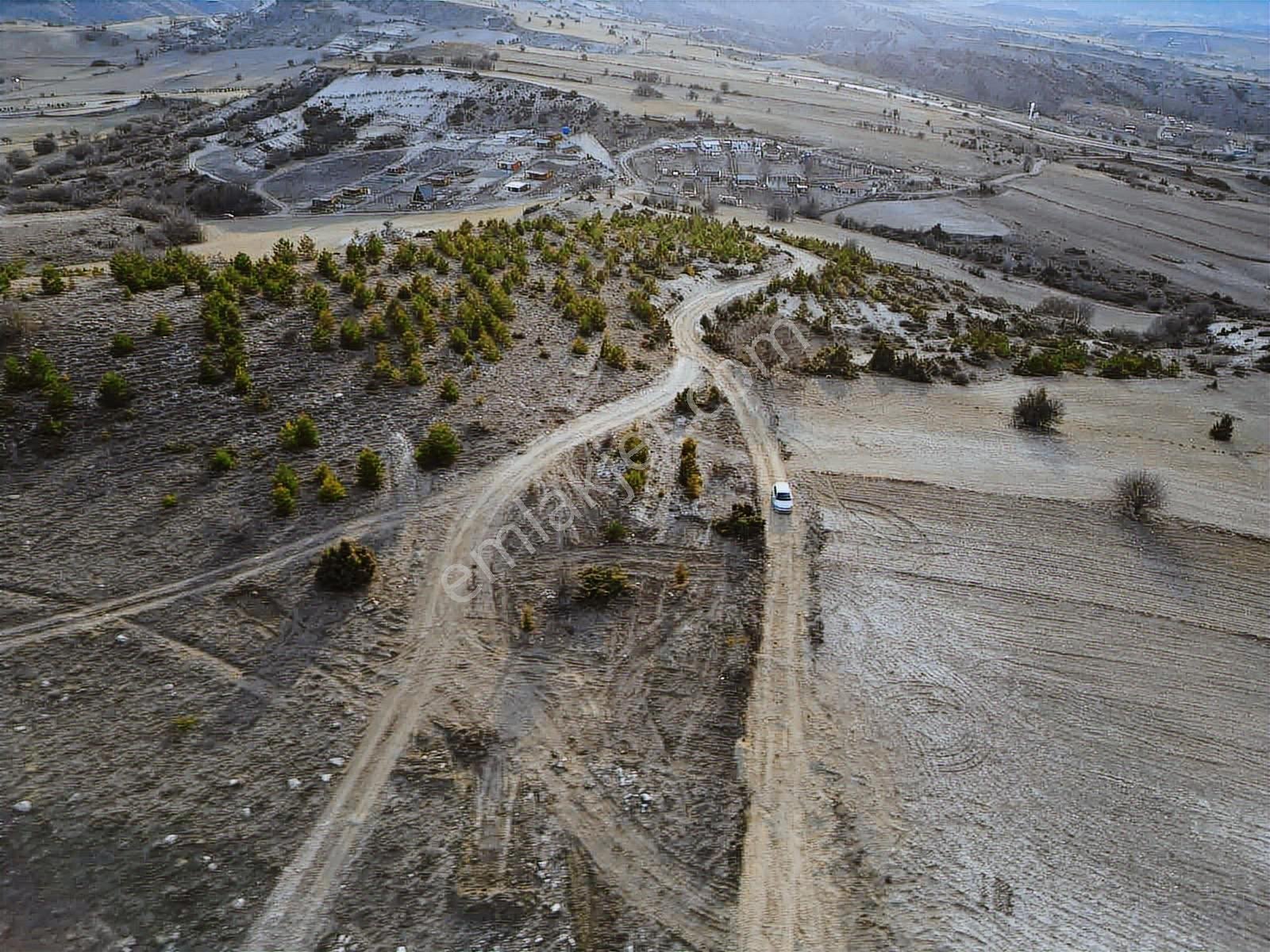 40 Adet Yetişmiş Çam Ağaçları İçerisinde Tek Tapu 3586 M2 Acill - Görsel 8