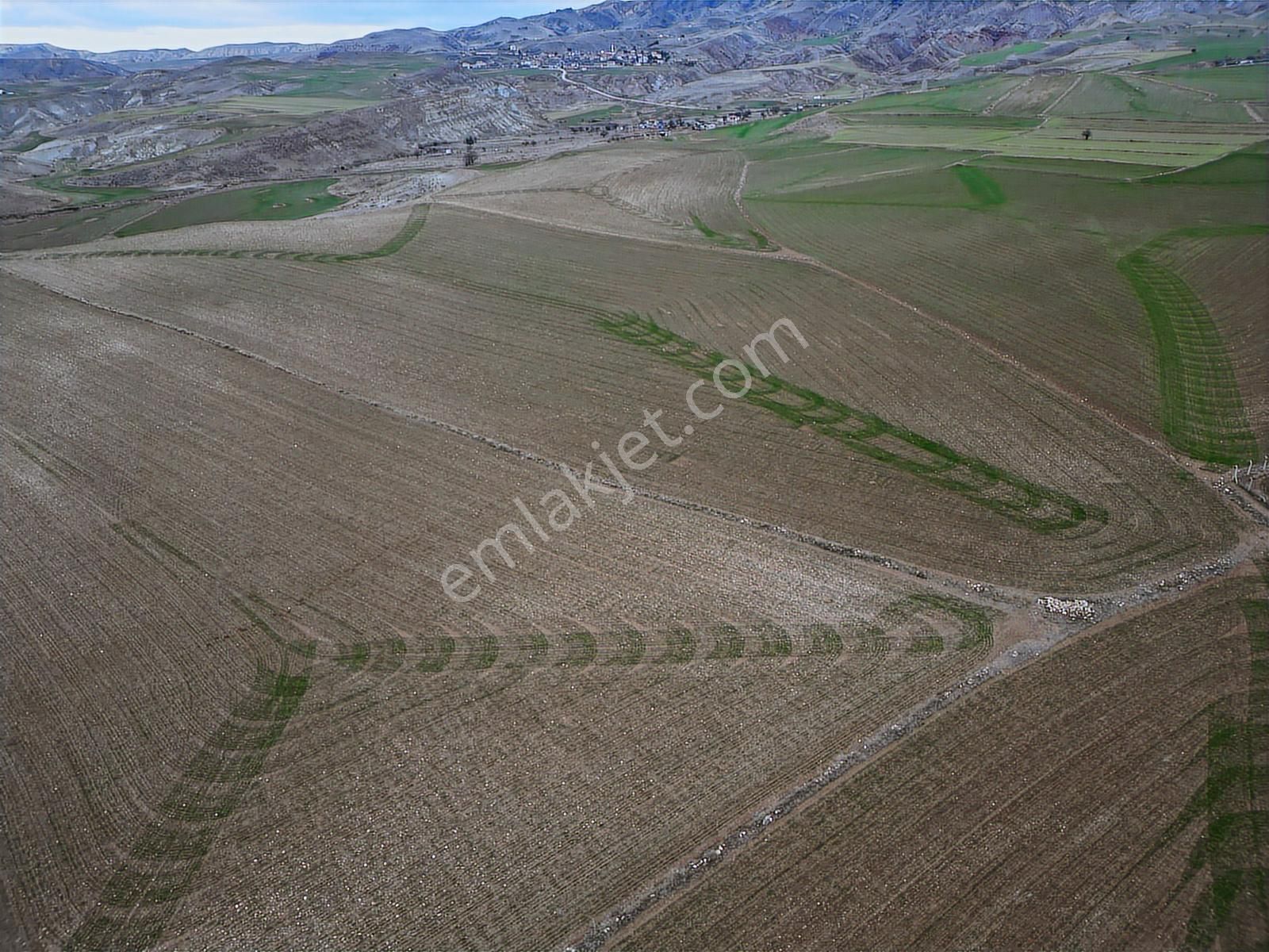 Oğuzlar'dan__ Ayaş Gökler'de Kadastro Yolu Olan Tek Tapu 28.805m - Görsel 2