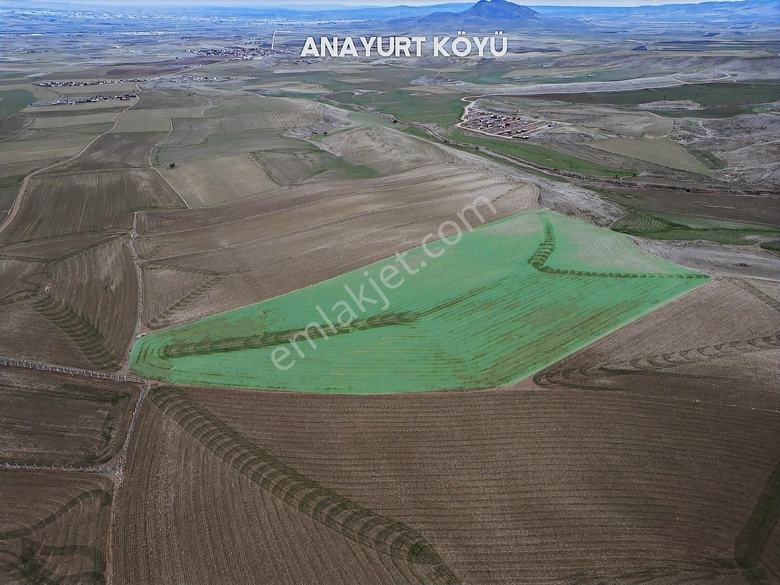 Oğuzlar'dan__ Ayaş Gökler'de Kadastro Yolu Olan Tek Tapu 28.805m - Görsel 6