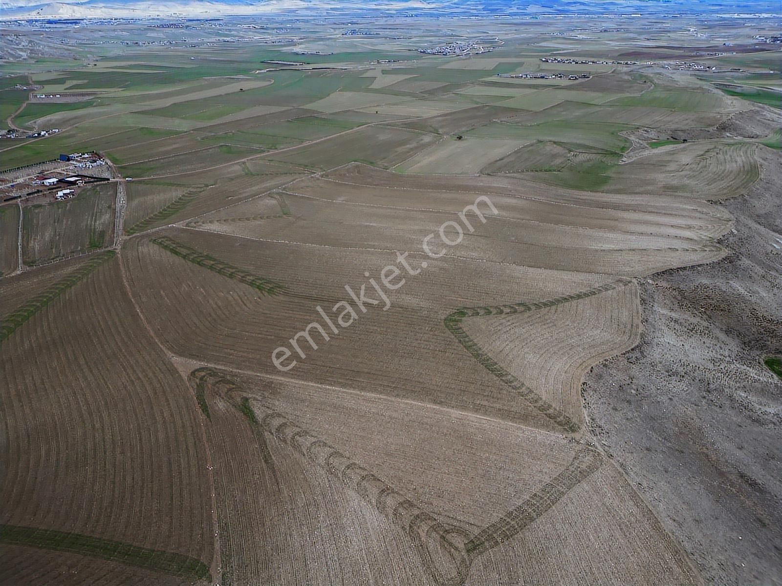 Oğuzlar'dan__ Ayaş Gökler'de Kadastro Yolu Olan Tek Tapu 28.805m - Görsel 8