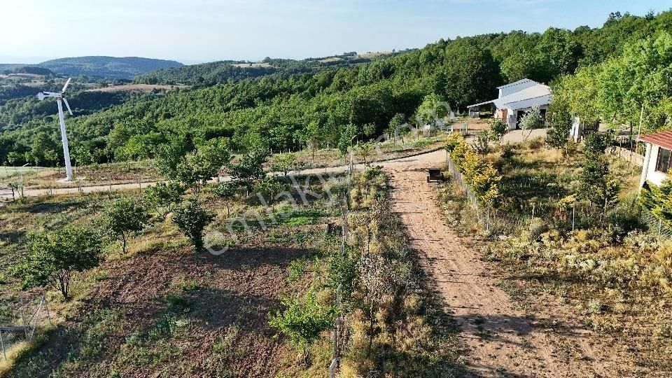 Çatalağıl Da Satılık Arazi - Görsel 2