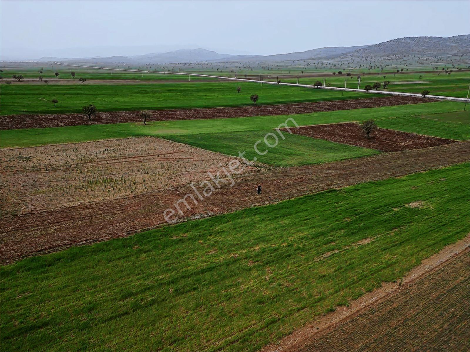 Burdur_yeşilova_kavak_asfalta_yakın_kadastro_mevcut - Görsel 9