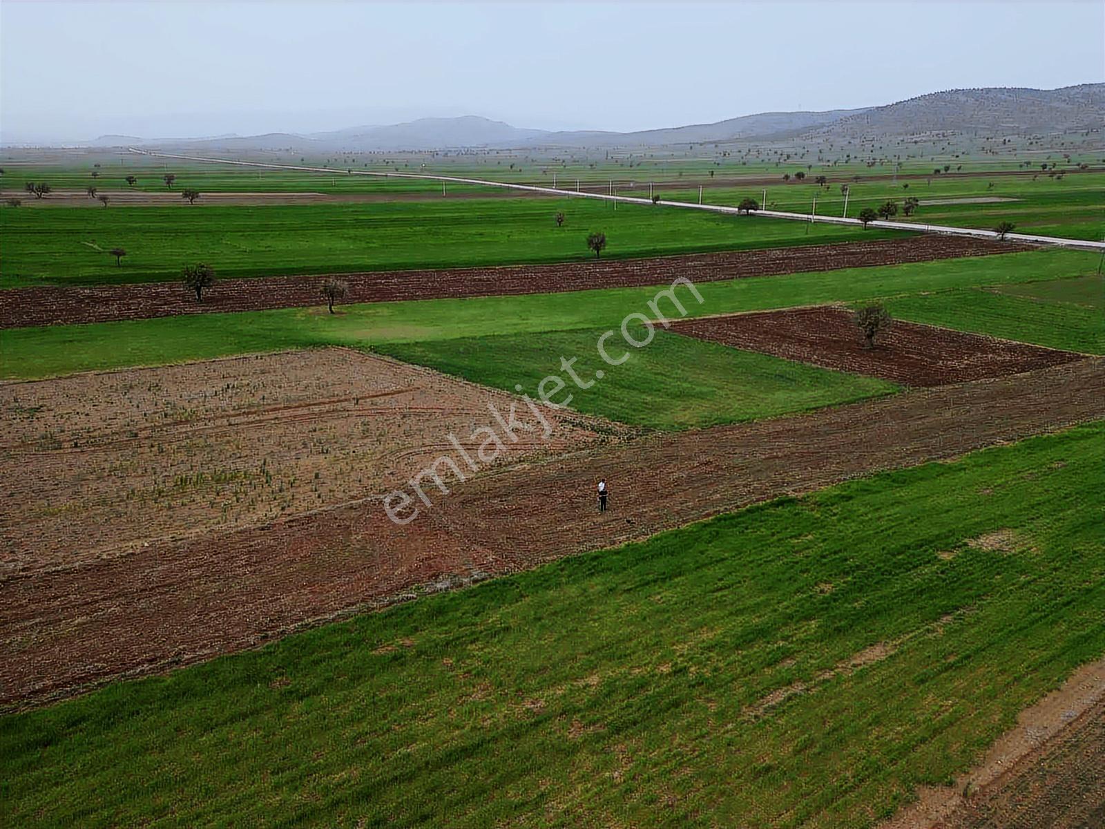 Burdur_yeşilova_kavak_asfalta_yakın_kadastro_mevcut - Görsel 8