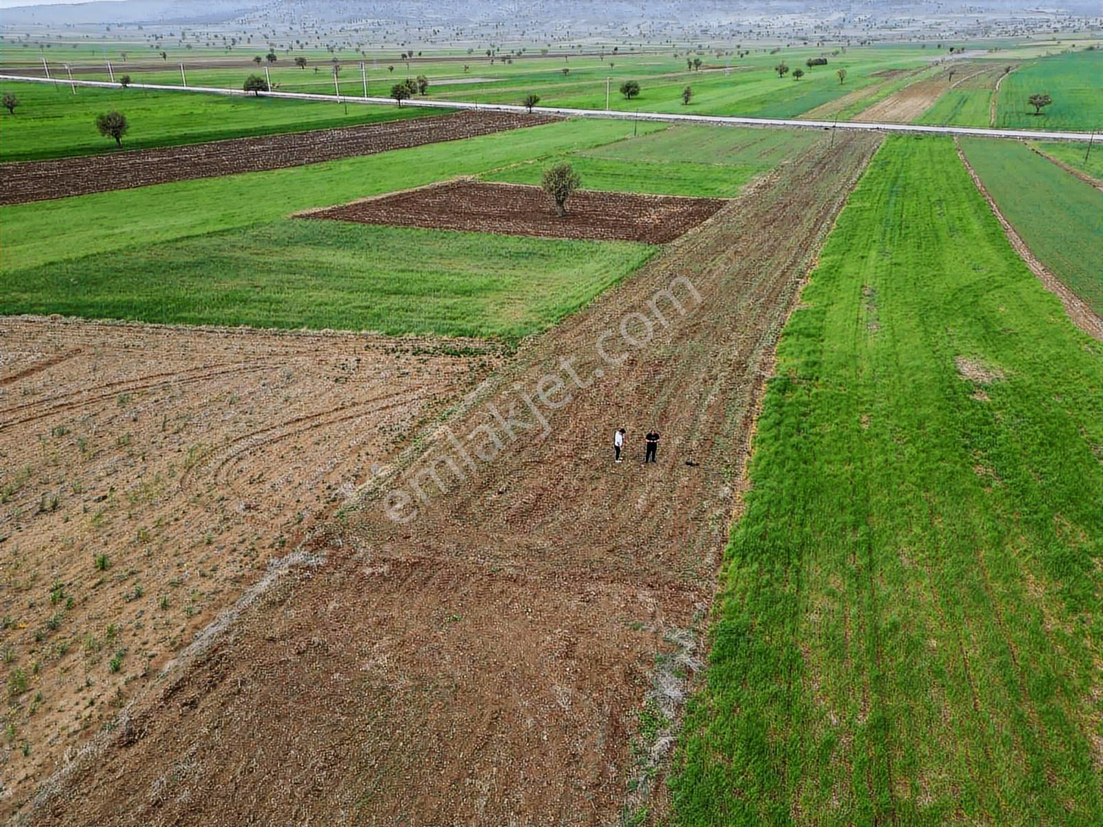 Burdur_yeşilova_kavak_asfalta_yakın_kadastro_mevcut - Görsel 5