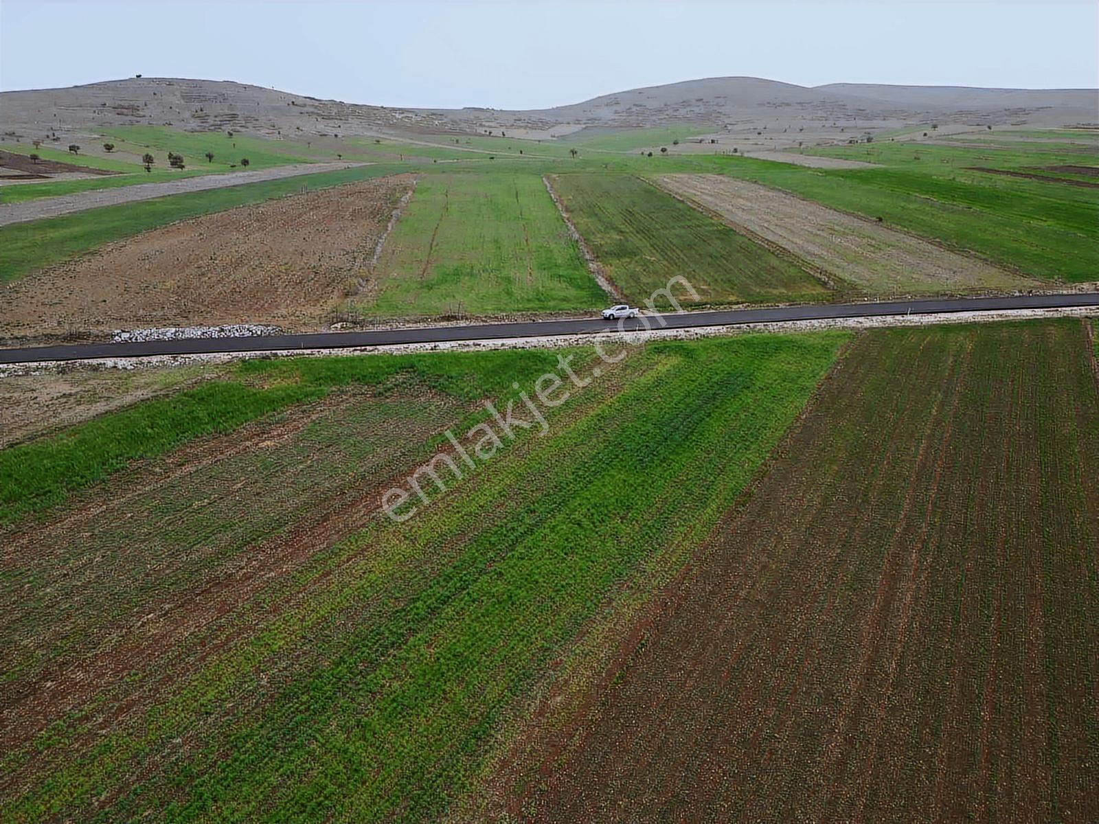 Burdur_yeşilova_kavak_asfalta_yakın_kadastro_mevcut