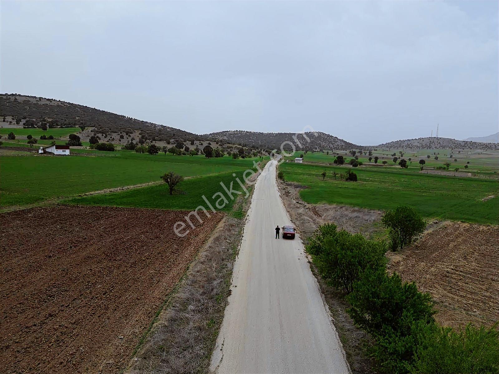 Burdur_yeşilova_çardak_asfalt_ve_evlerin_dibinde - Görsel 3