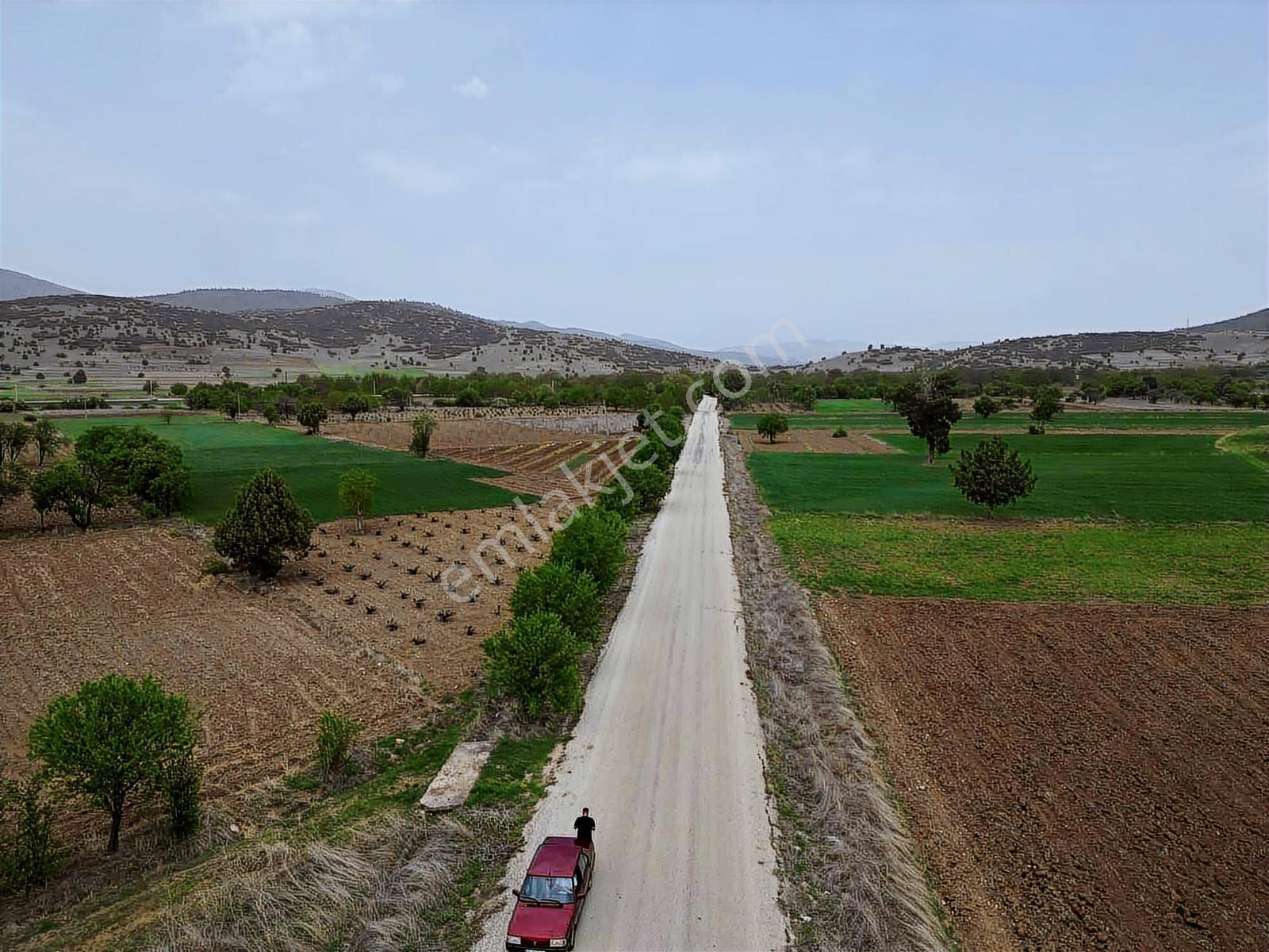 Burdur_yeşilova_çardak_asfalt_ve_evlerin_dibinde - Görsel 5