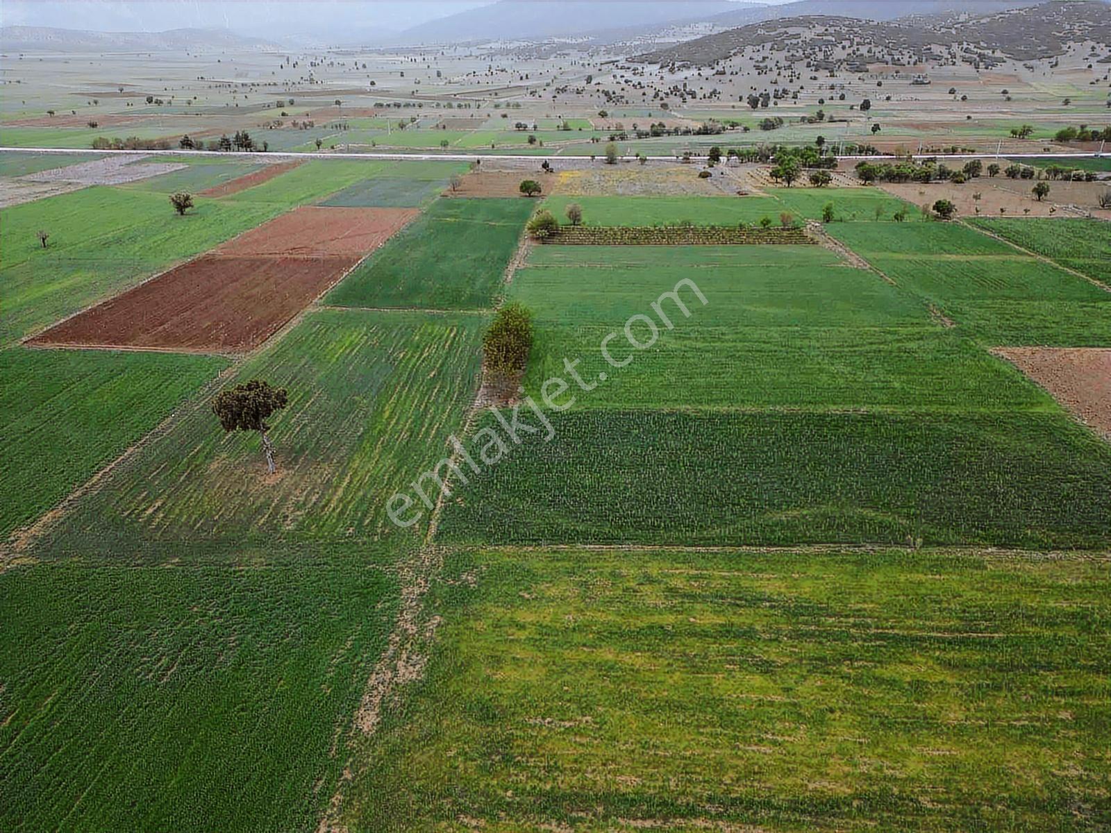 Burdur_yeşilova_çardak_asfalt_ve_evlerin_dibinde - Görsel 6