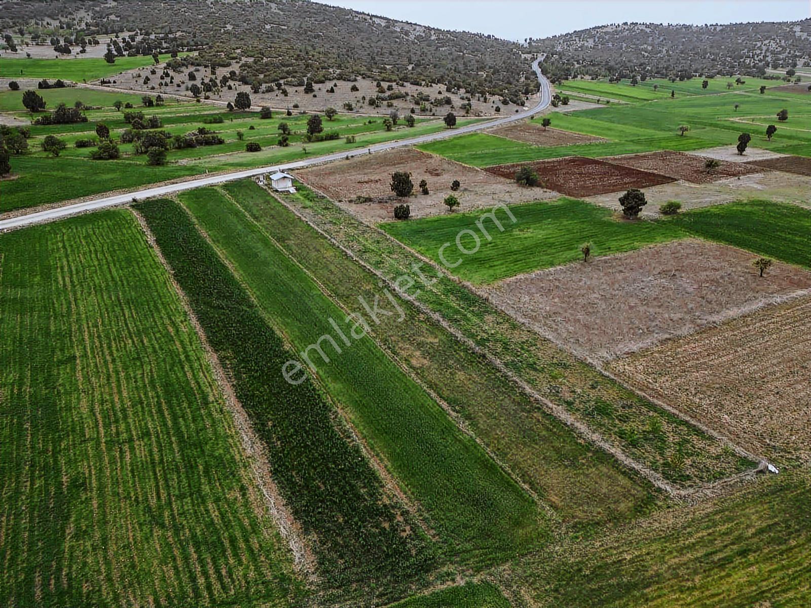 Burdur_yeşilova_çardak_asfalt_ve_evlerin_dibinde - Görsel 9