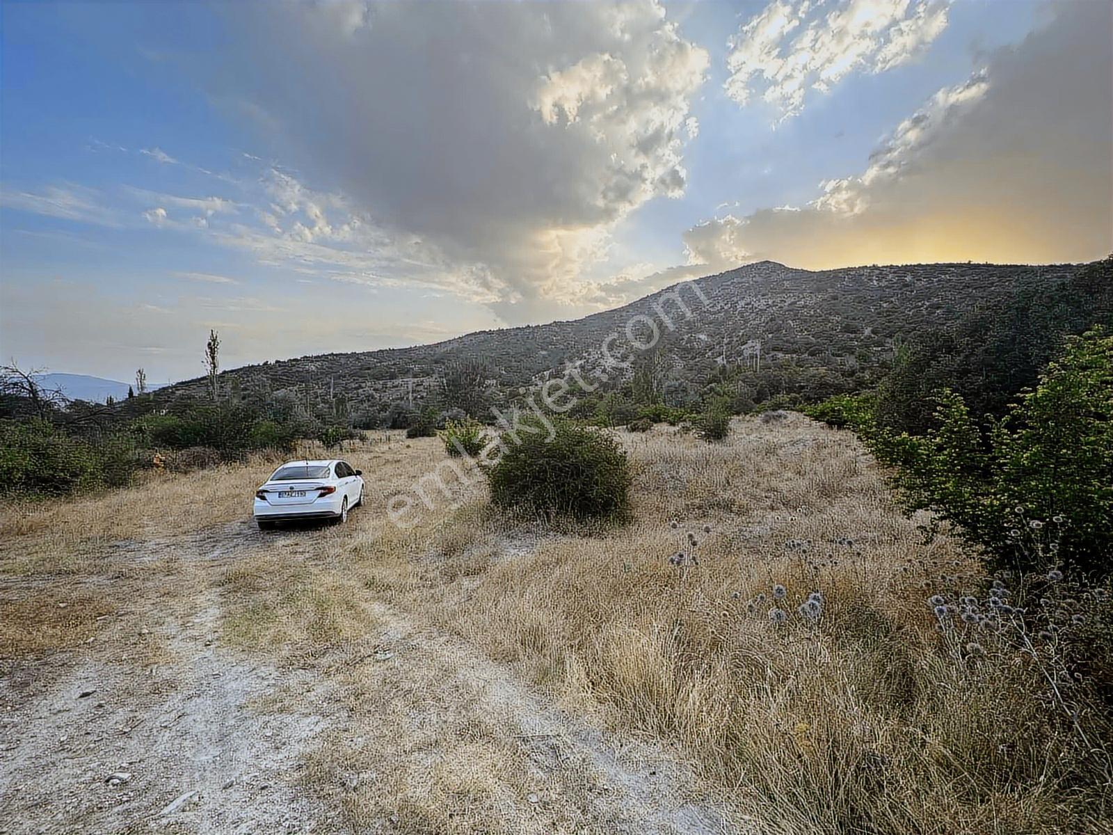 Isparta_uluborlu_dereköy_kadastro_yolu_mevcut_kiraz_bahçeleri - Görsel 9