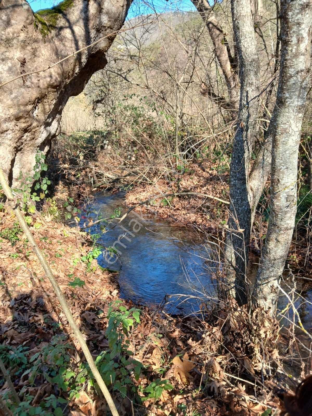 Bolu Mudurnu 550 M2 Satılık Arsa Acil Satılık - Görsel 16