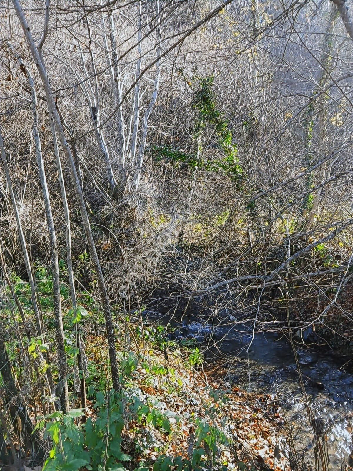 Bolu Mudurnu 550 M2 Satılık Arsa Acil Satılık - Görsel 12