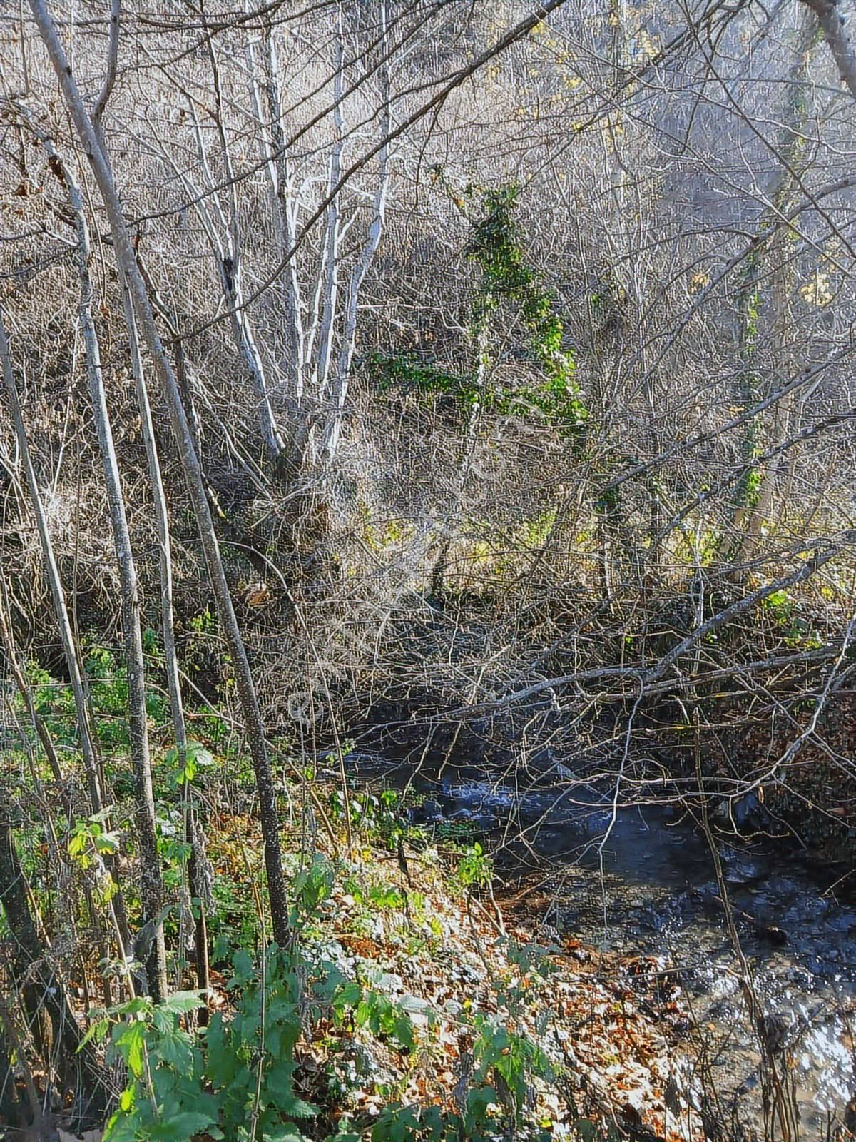 Bolu Mudurnu 550 M2 Satılık Arsa Acil Satılık - Görsel 10