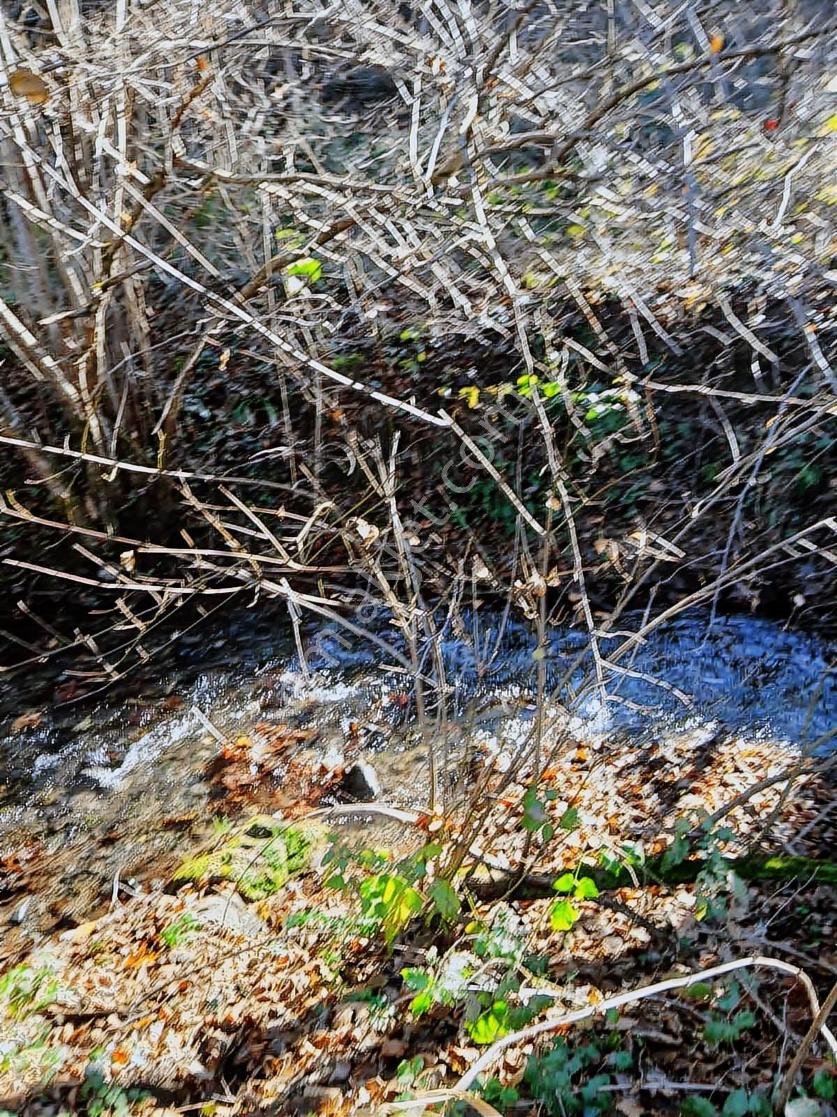 Bolu Mudurnu 550 M2 Satılık Arsa Acil Satılık - Görsel 11