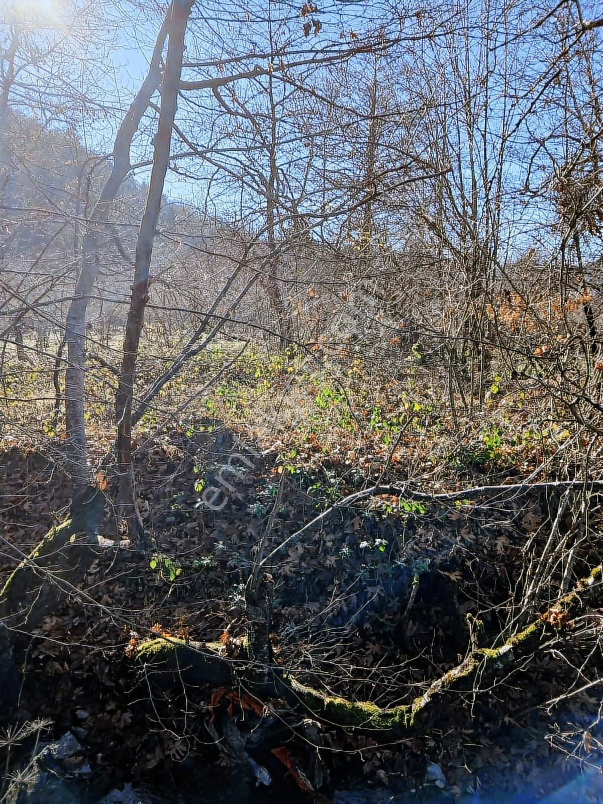 Bolu Mudurnu 550 M2 Satılık Arsa Acil Satılık - Görsel 8