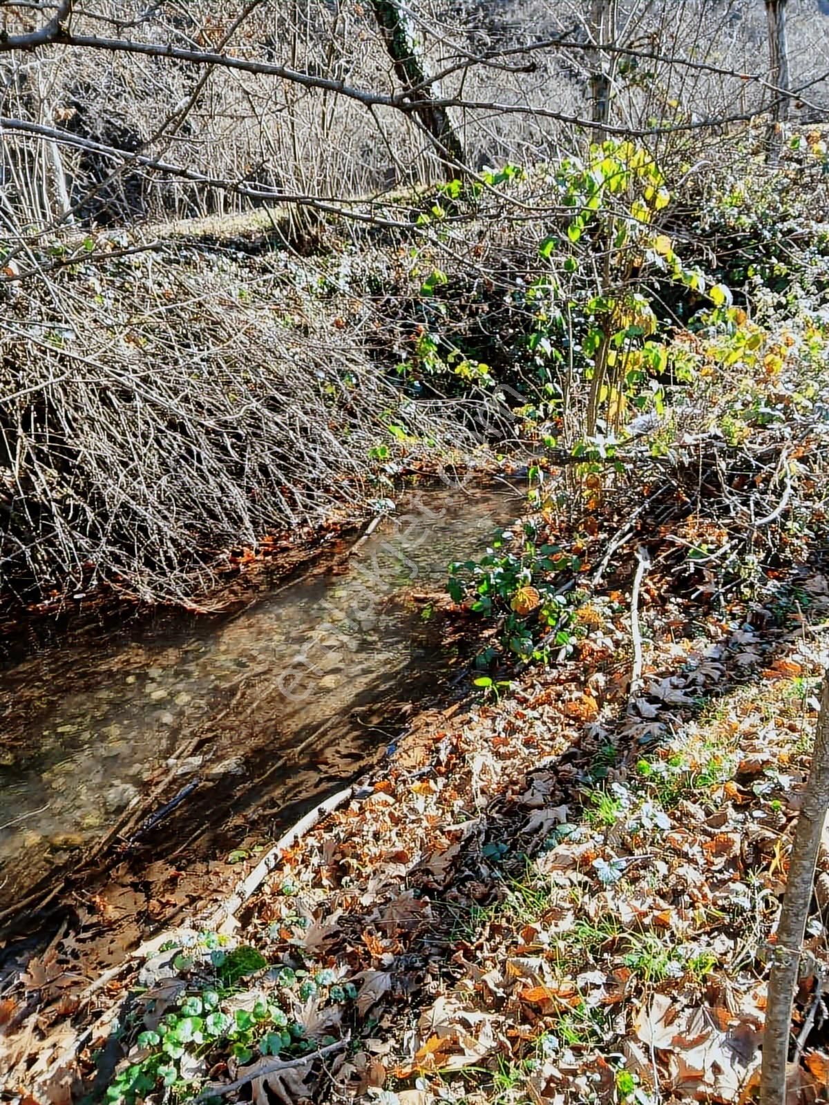 Bolu Mudurnu 550 M2 Satılık Arsa Acil Satılık - Görsel 15