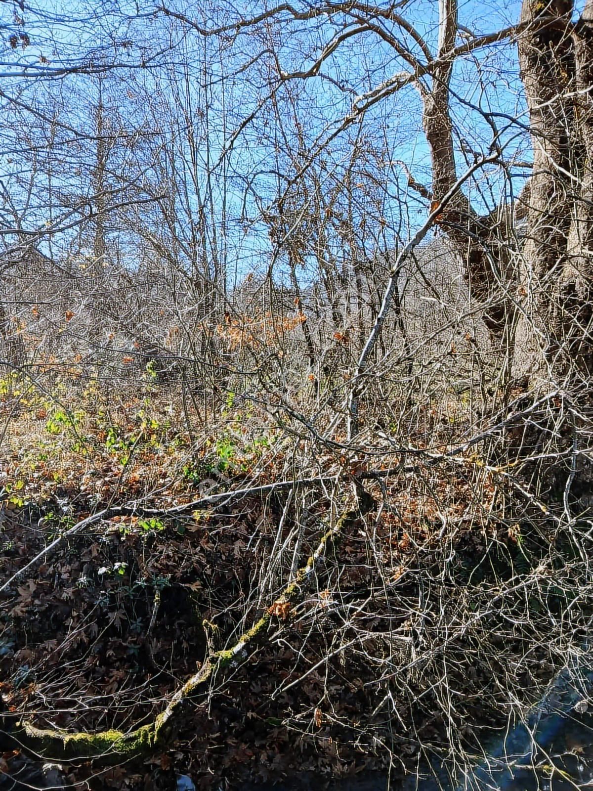 Bolu Mudurnu 550 M2 Satılık Arsa Acil Satılık - Görsel 9