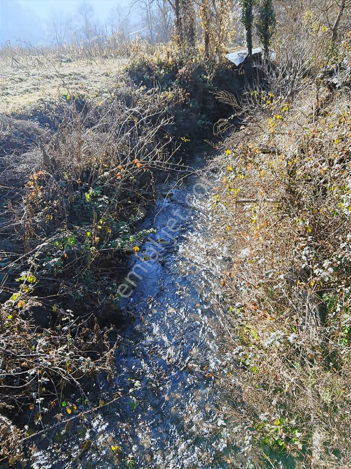 Bolu Mudurnu 550 M2 Satılık Arsa Acil Satılık - Görsel 4