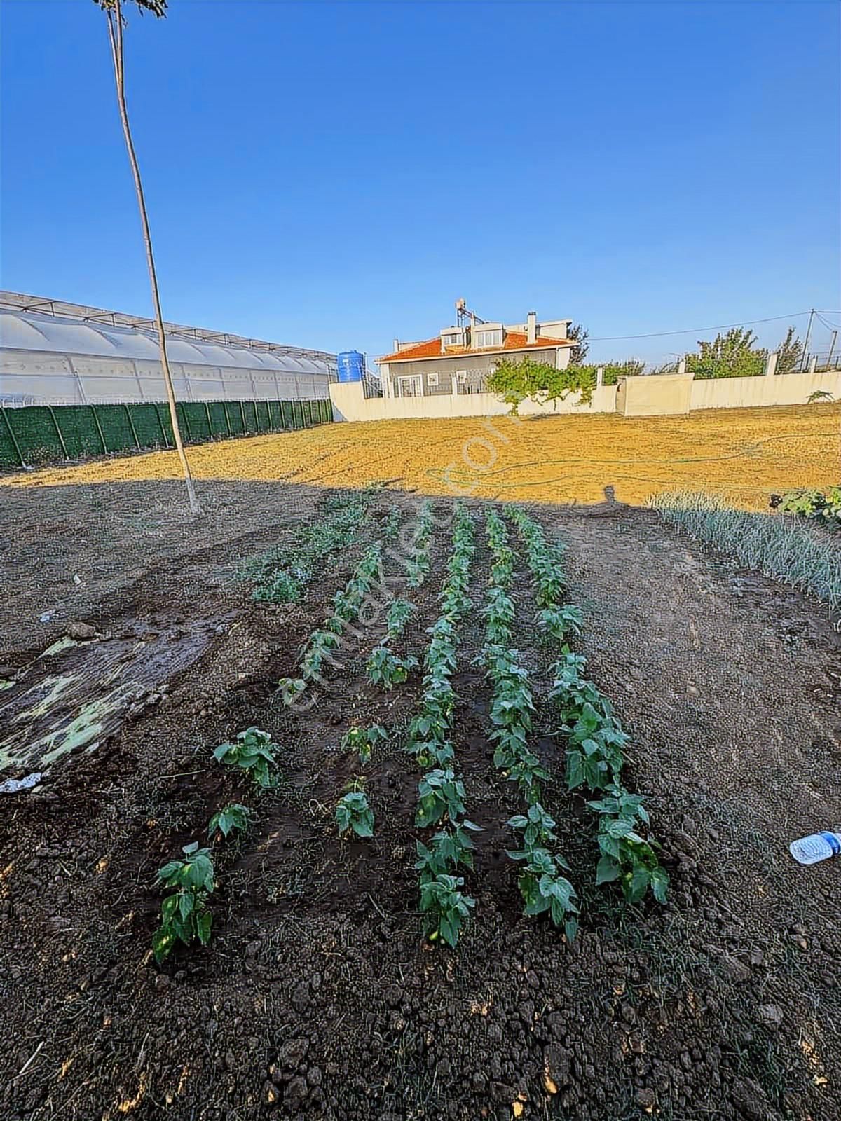 Can Emlaktan Elektrik Su Olan Kaçırılmayacak Fırsat ... - Görsel 6
