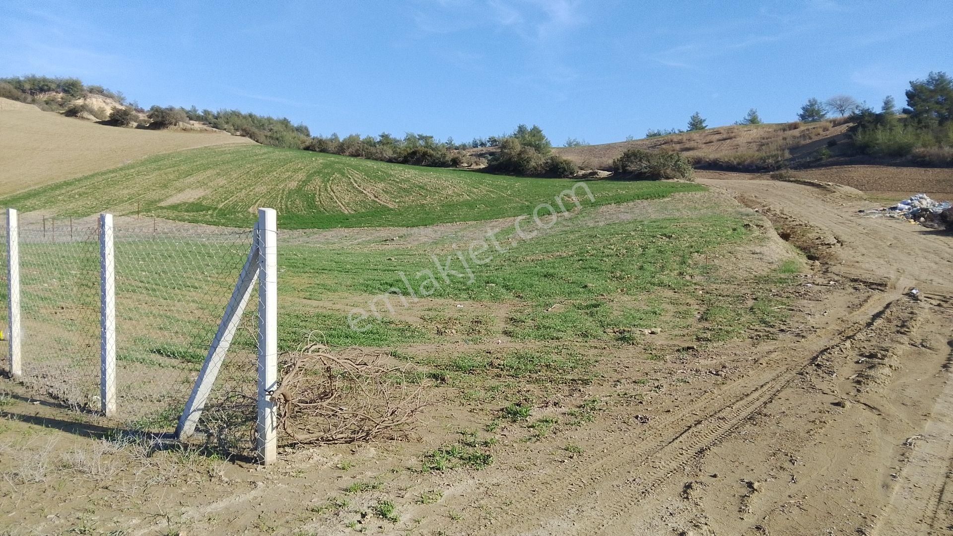 Adana Kılıçlı Satılık Arsa - Görsel 5