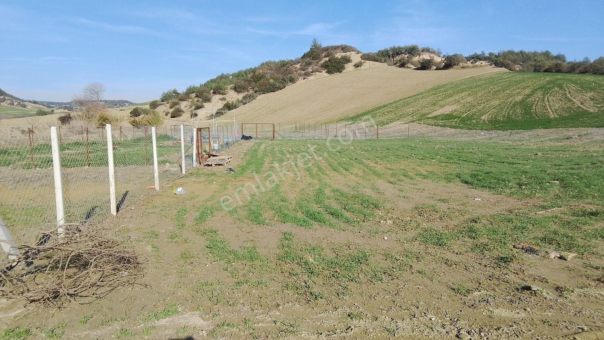 Adana Kılıçlı Satılık Arsa - Görsel 2