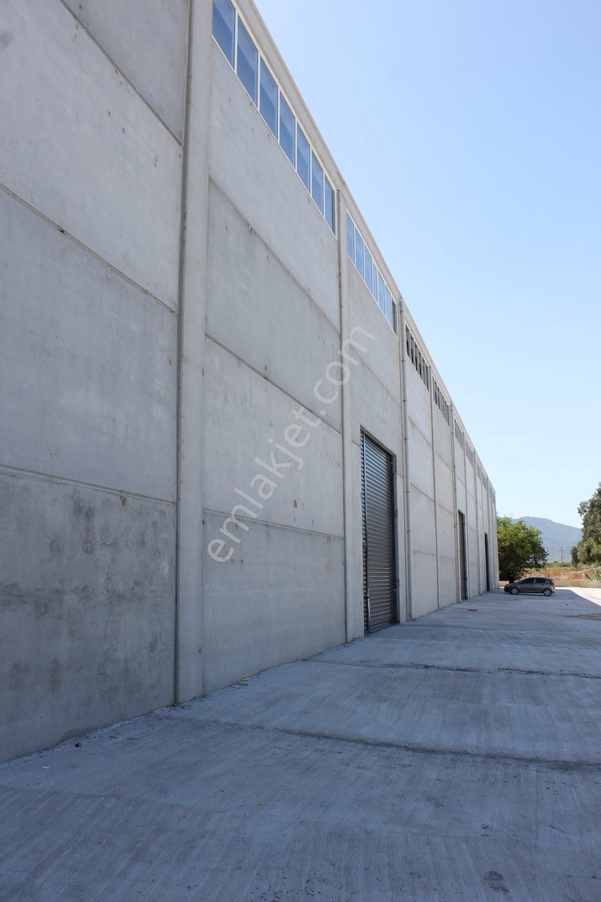 Kemalpaşa Da 8000m2 İçinde 3450 M2 Kapalı Alanlı Kiralık Depo - Görsel 2
